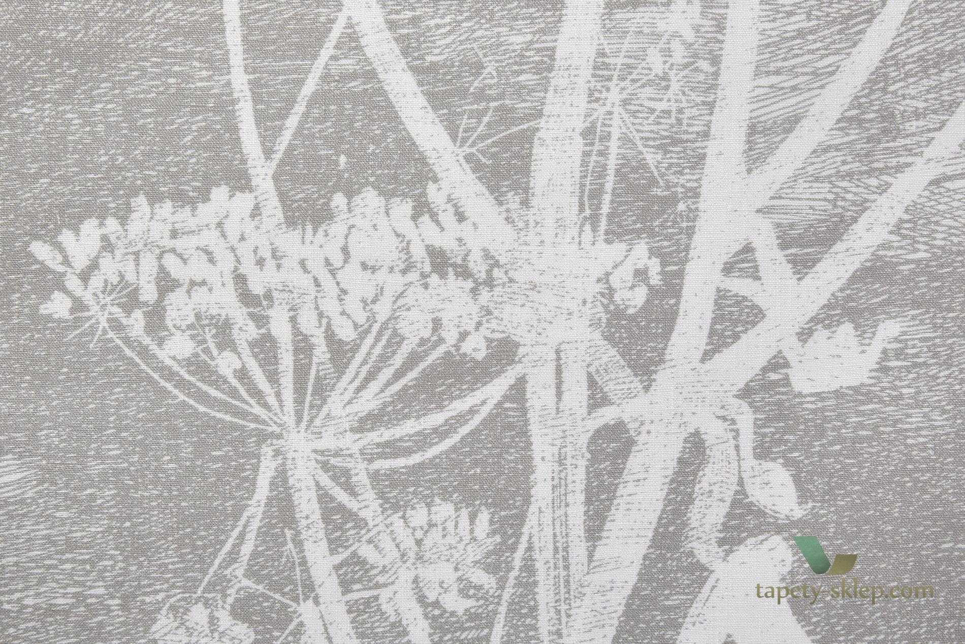 Tkanina kwiaty kopru Cole&Son Cow Parsley Len F111/5019 The Contemporary Collection