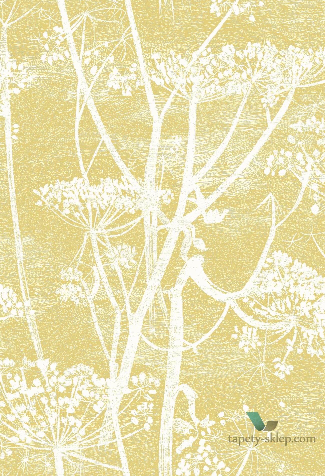 Tkanina kwiaty kopru Cole&Son Cow Parsley Len F111/5020 The Contemporary Collection