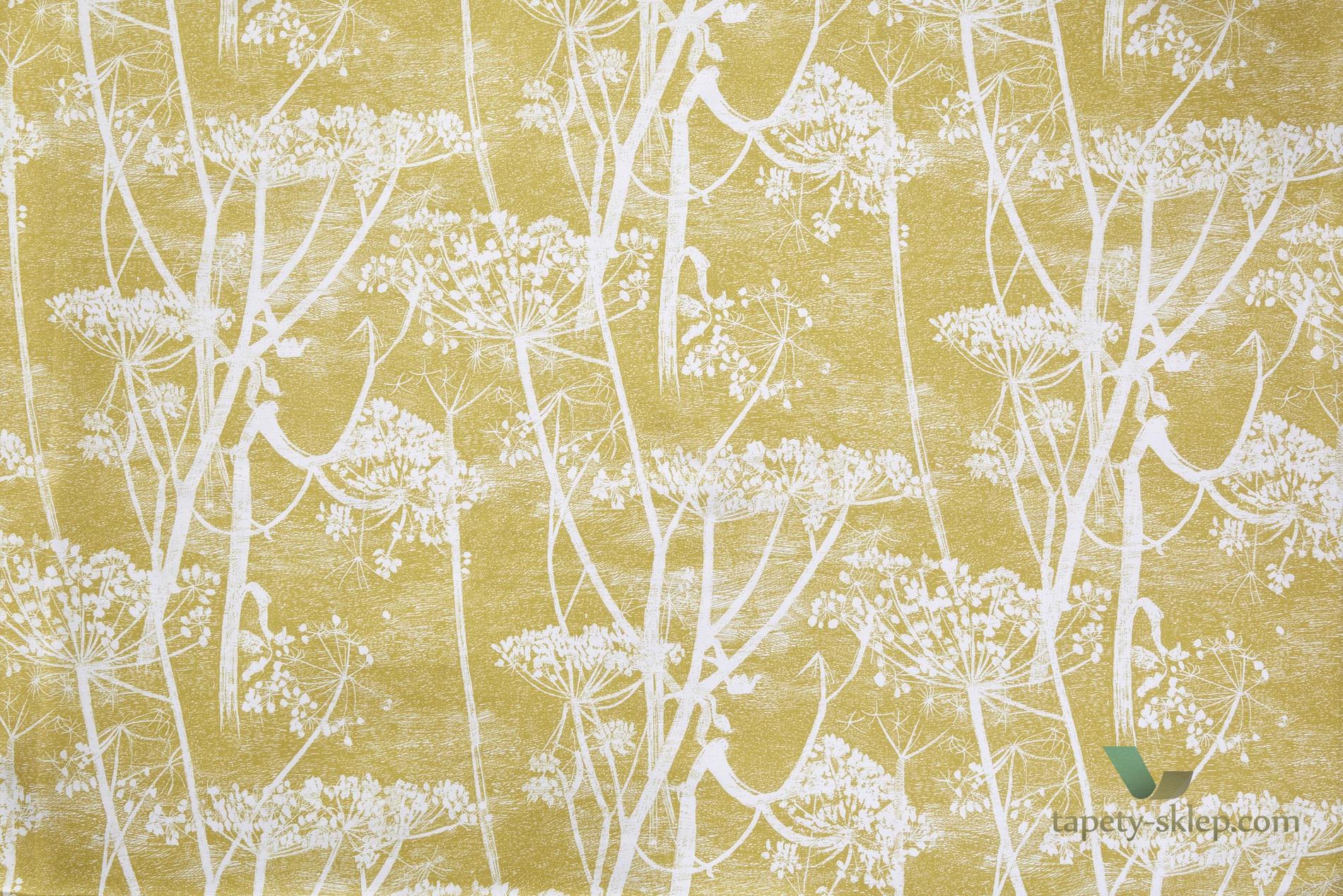 Tkanina kwiaty kopru Cole&Son Cow Parsley Len F111/5020 The Contemporary Collection