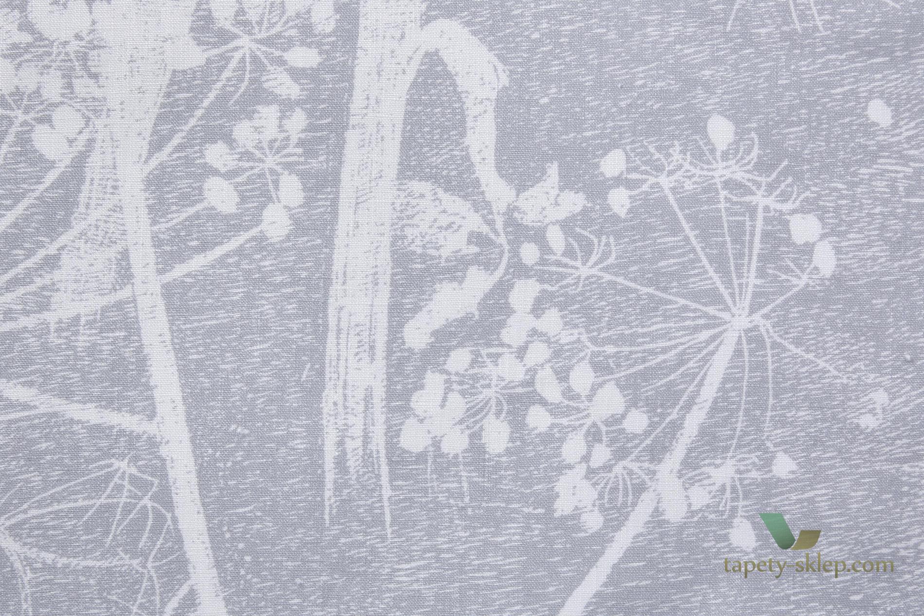 Tkanina kwiaty kopru Cole&Son Cow Parsley Len F111/5021 The Contemporary Collection