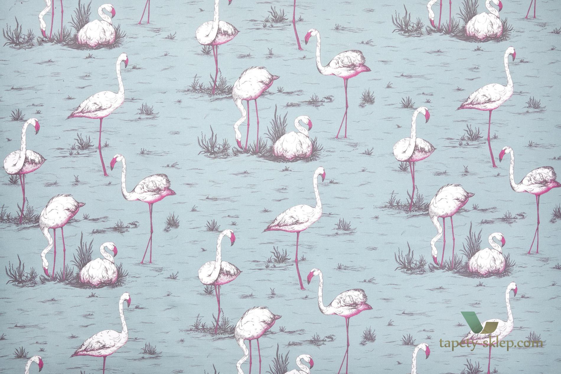 Tkanina flamingi Cole&Son Flamingos F111/3010LU The Contemporary Collection