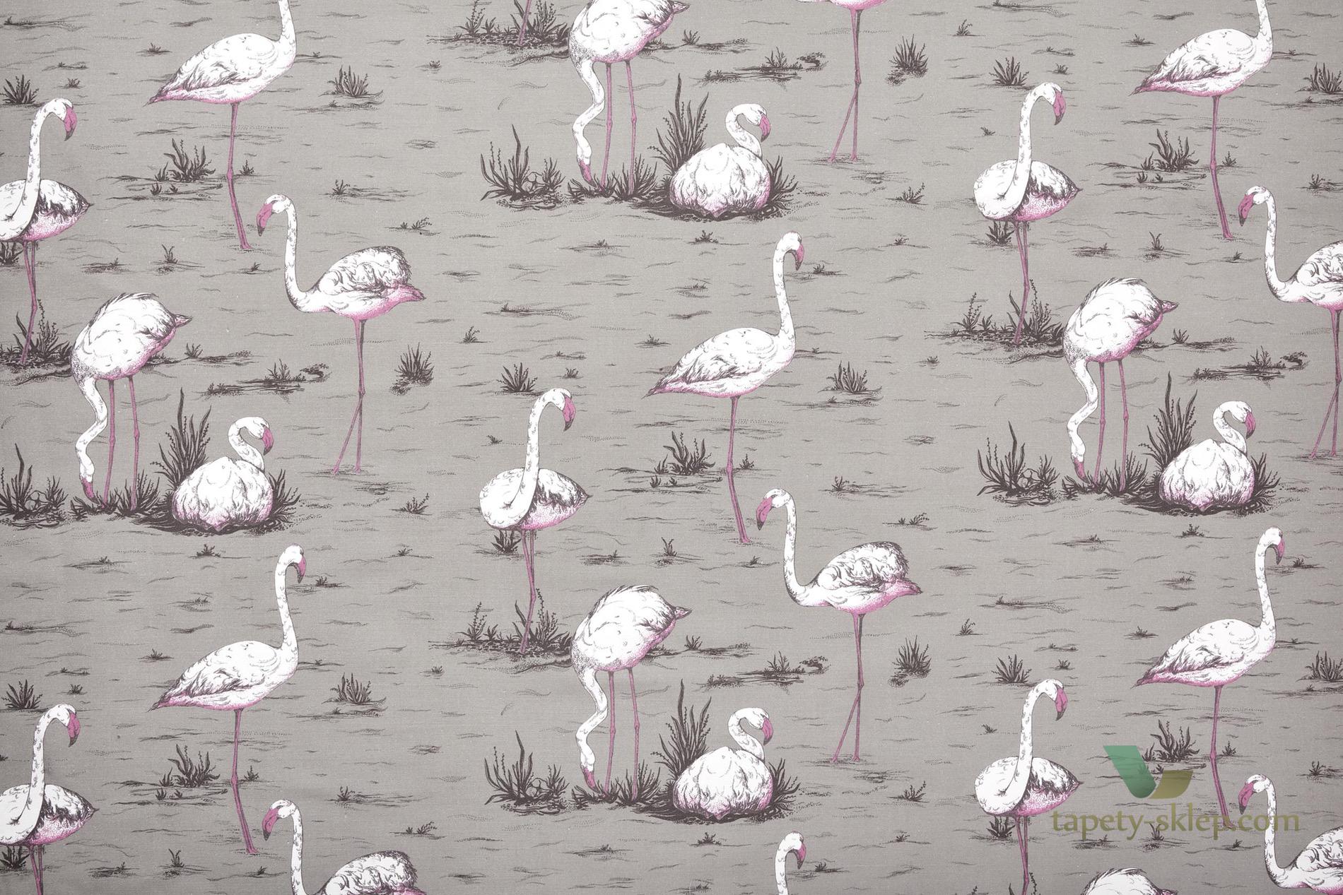 Tkanina flamingi Cole&Son Flamingos F111/3011LU The Contemporary Collection