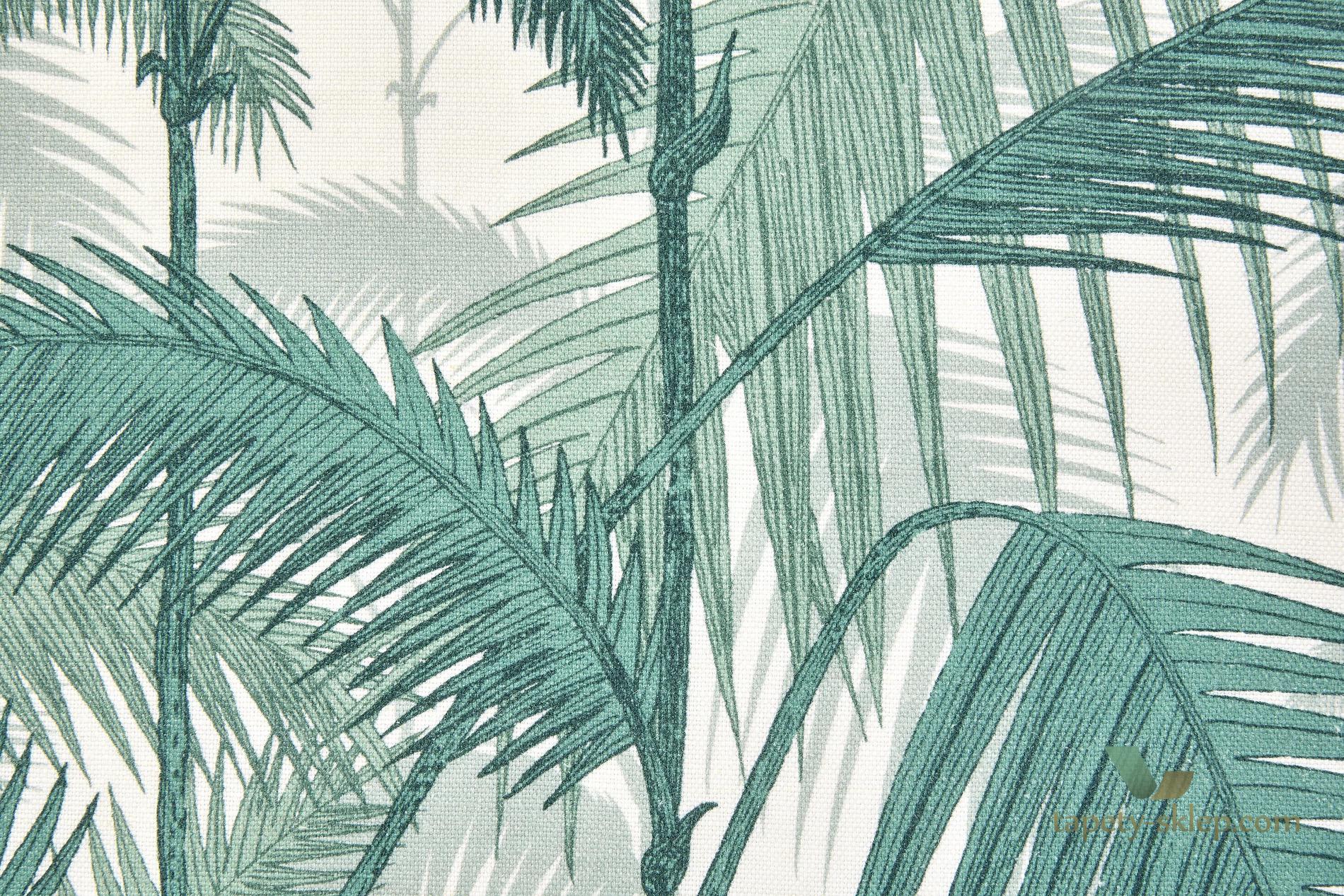 Tkanina palmy Cole&Son Palm Jungle F111/2005LU The Contemporary Collection