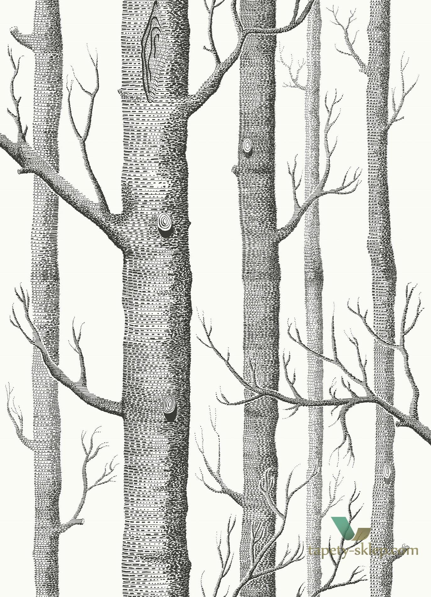 Tkanina w drzewa brzozy Woods Cole&Son F111/7026LU