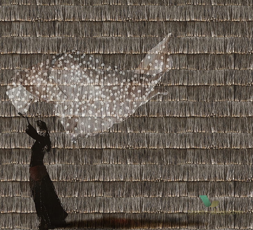 Fototapeta Wall&Deco WDPP1902 POID PLUME Contemporary 2019