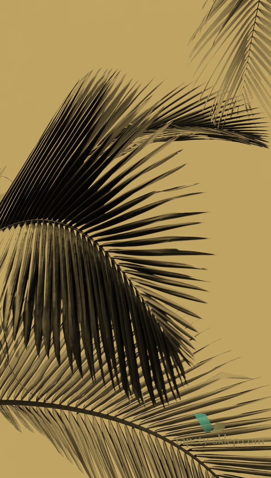 Tapeta liście palm Caselio MLG 101292098 Moonlight