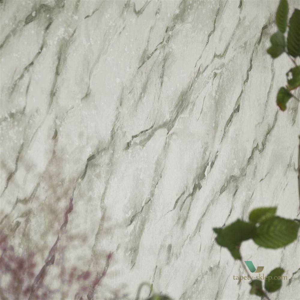 Tapeta Designers Guild PDG1089/02 Carrara Grande