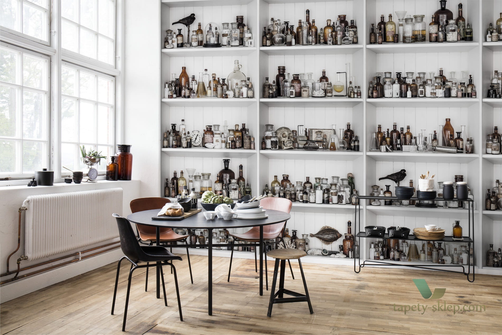 Fototapeta Rebel Walls R14182 Cabinet of Curios Raw