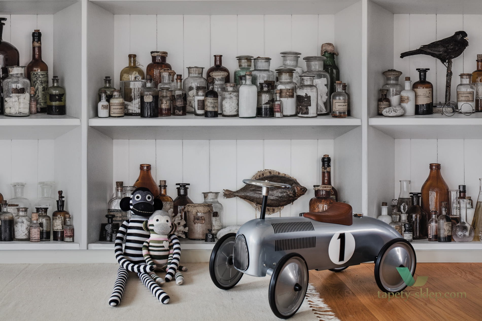Fototapeta Rebel Walls R14182 Cabinet of Curios Raw