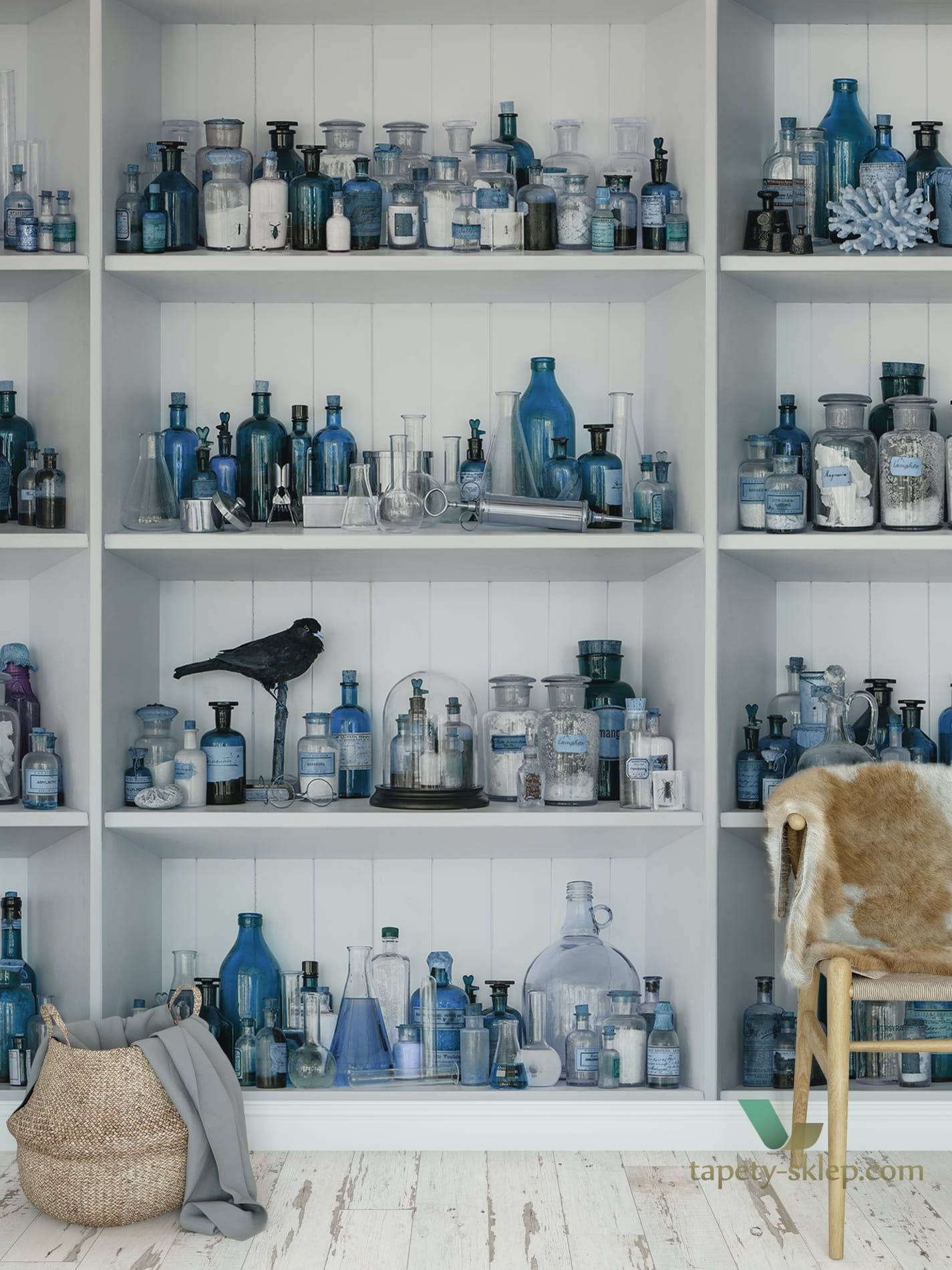 Fototapeta Rebel Walls R14183 Cabinet of Curios Sapphire