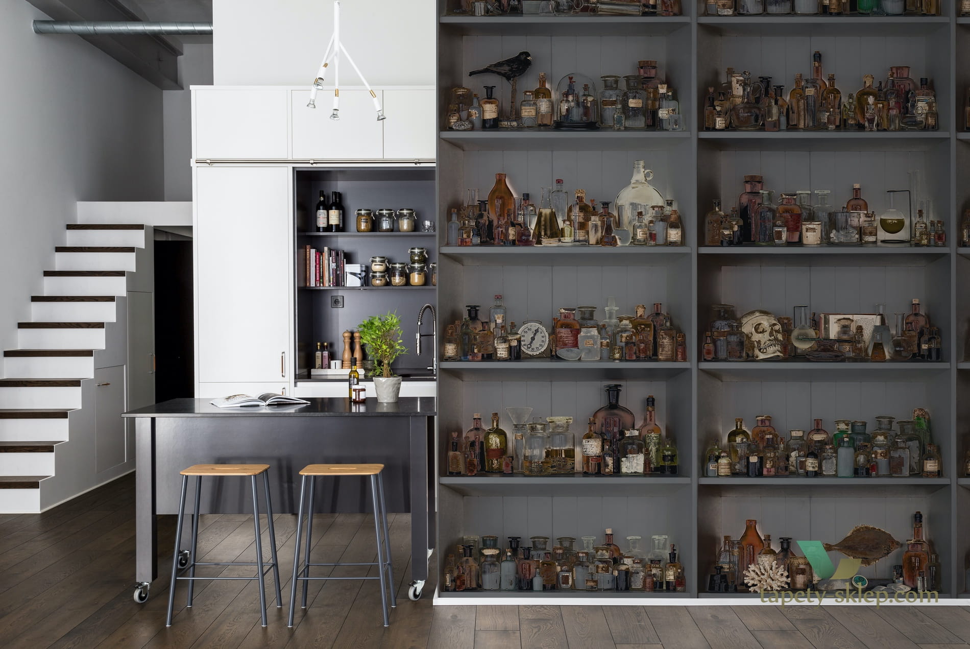 Fototapeta Rebel Walls R14184 Cabinet of Curios Night