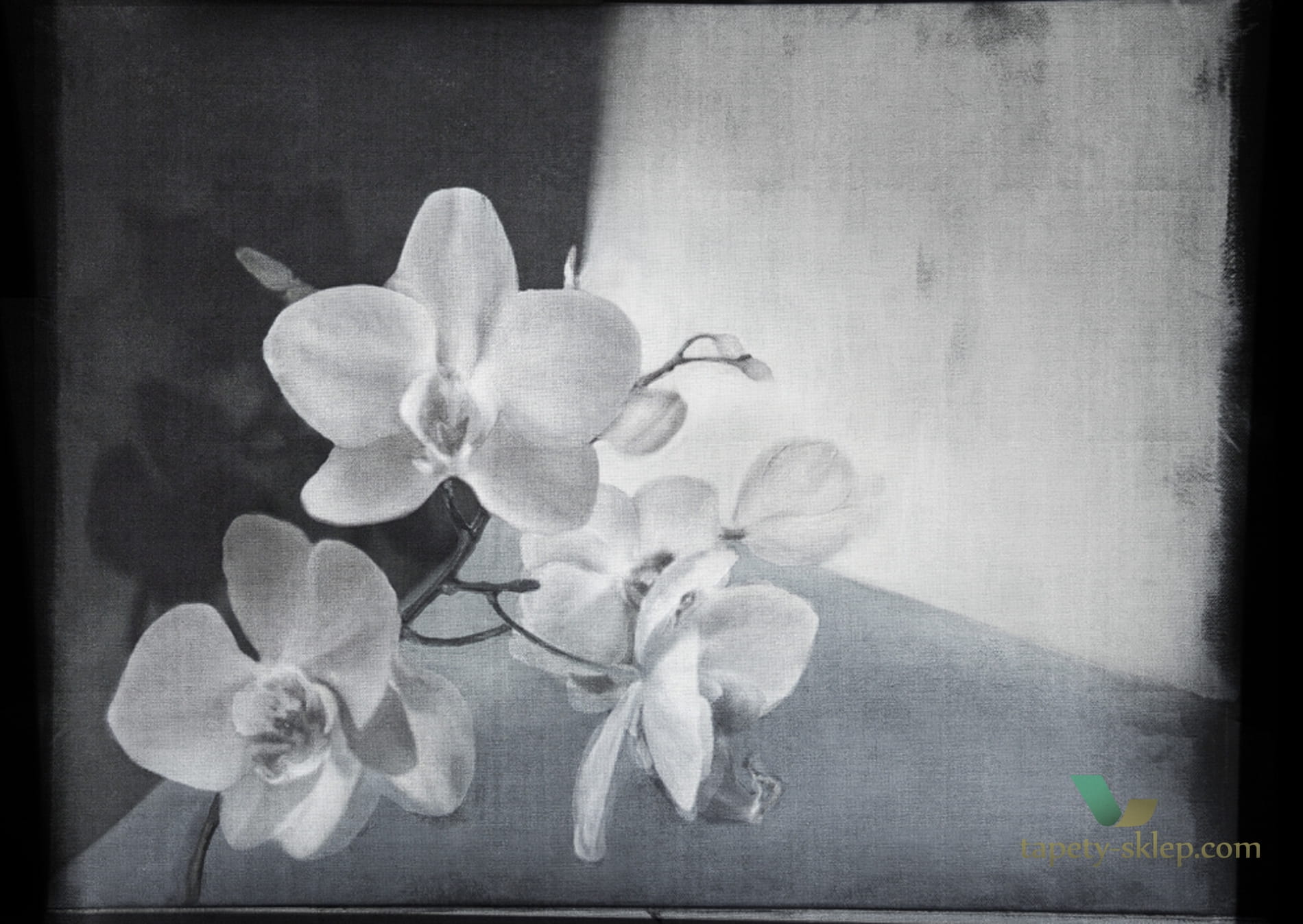 Fototapeta Wall&Deco WDLY2001 Lyric Contemporary 2020