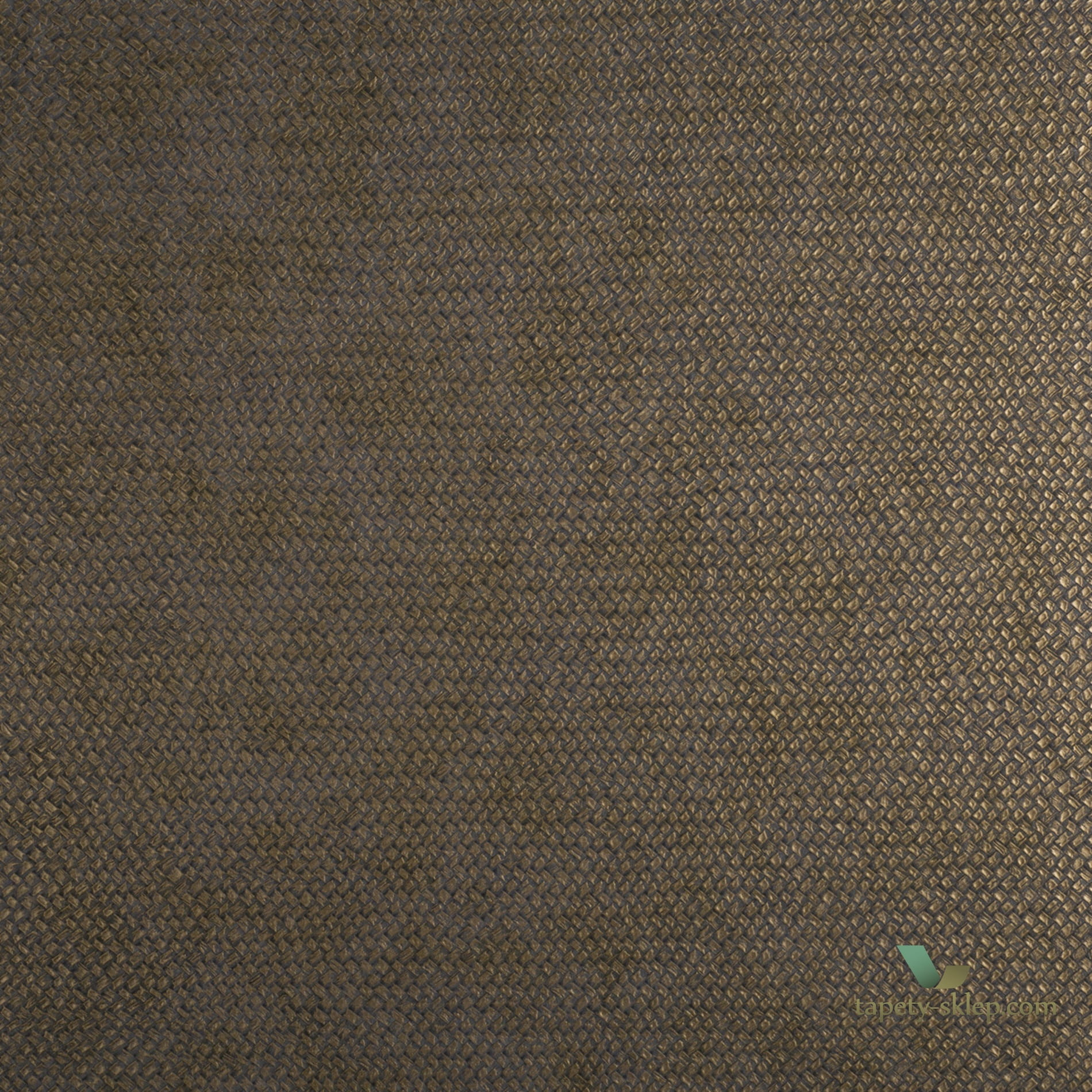 Tapeta Cesto 21540 Lizzo Legend