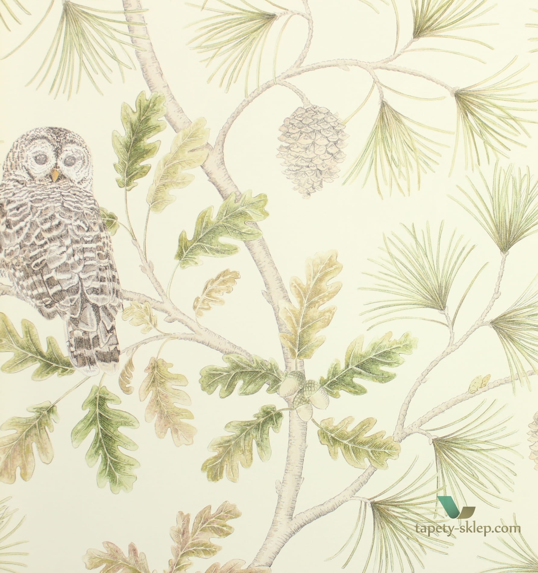 Tapeta sowy i drzewa Sanderson 216597 Owlswick Elysian