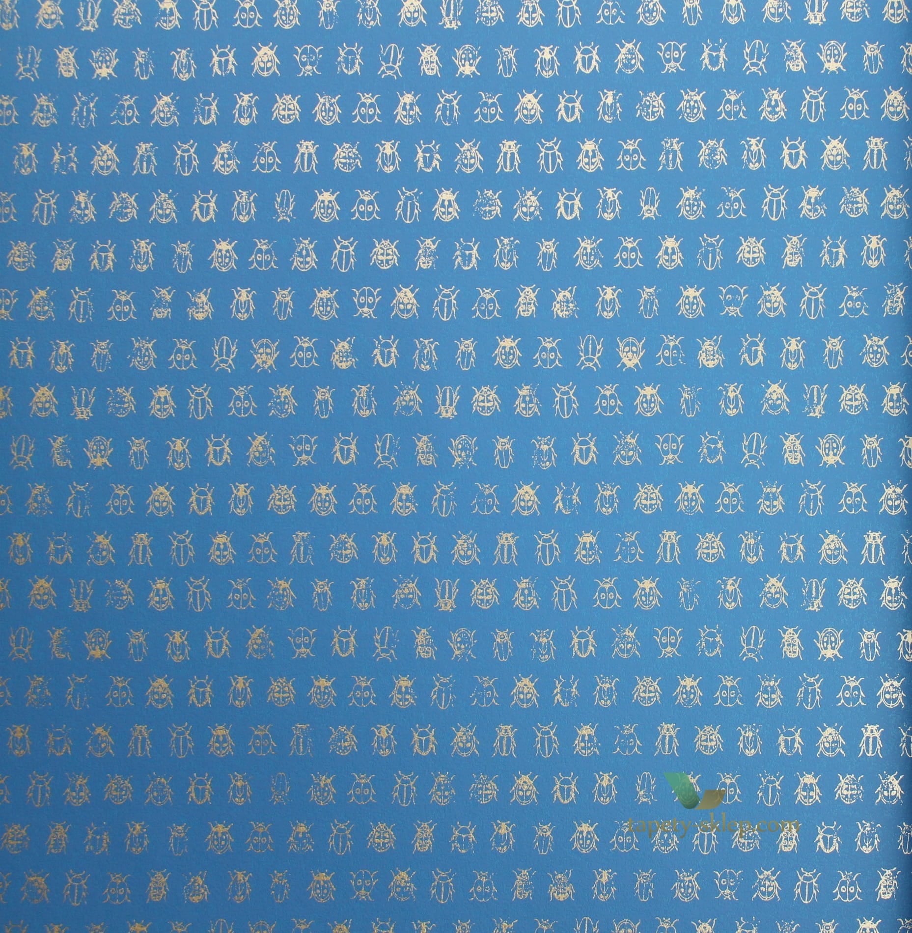 Tapeta PIP Studio 375036 Eijffinger