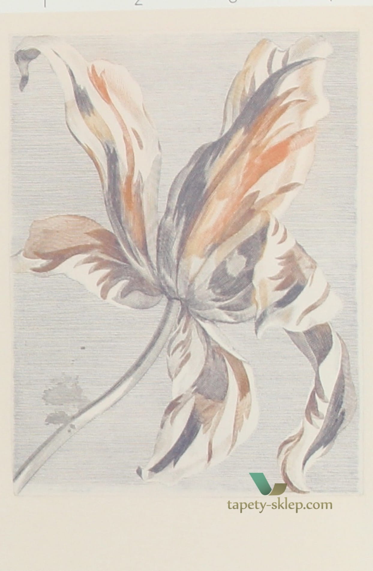 Fototapeta Eijffinger 358116 Masterpiece