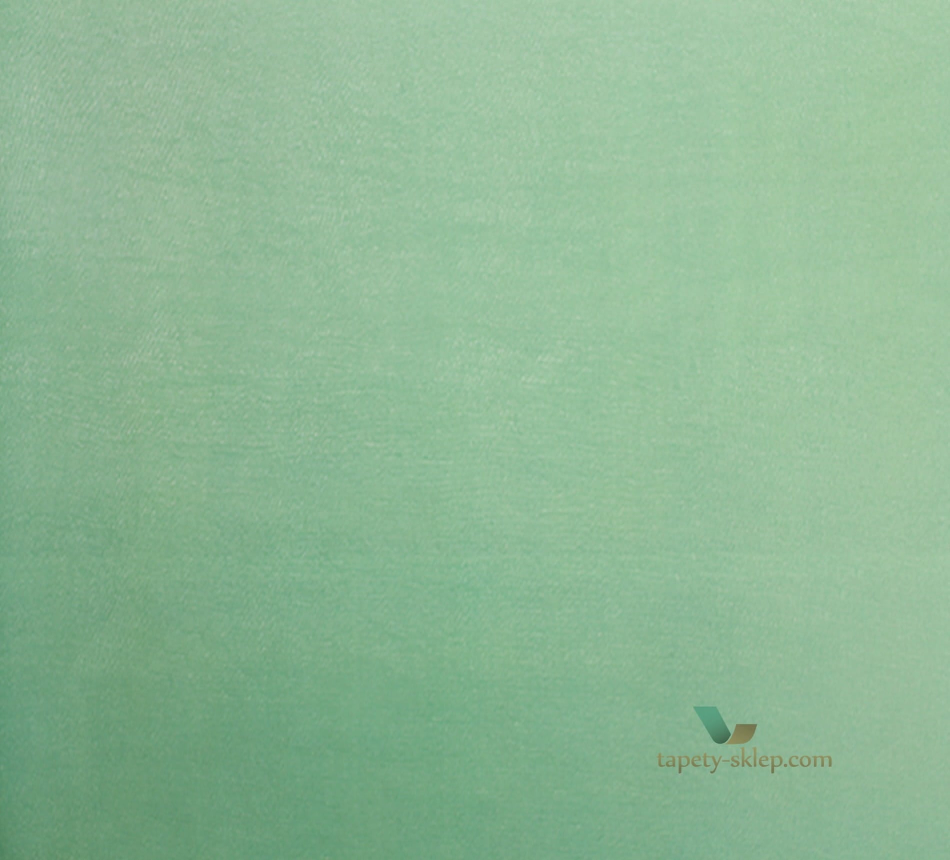 Fototapeta P600/07 Designers Guild Contarini
