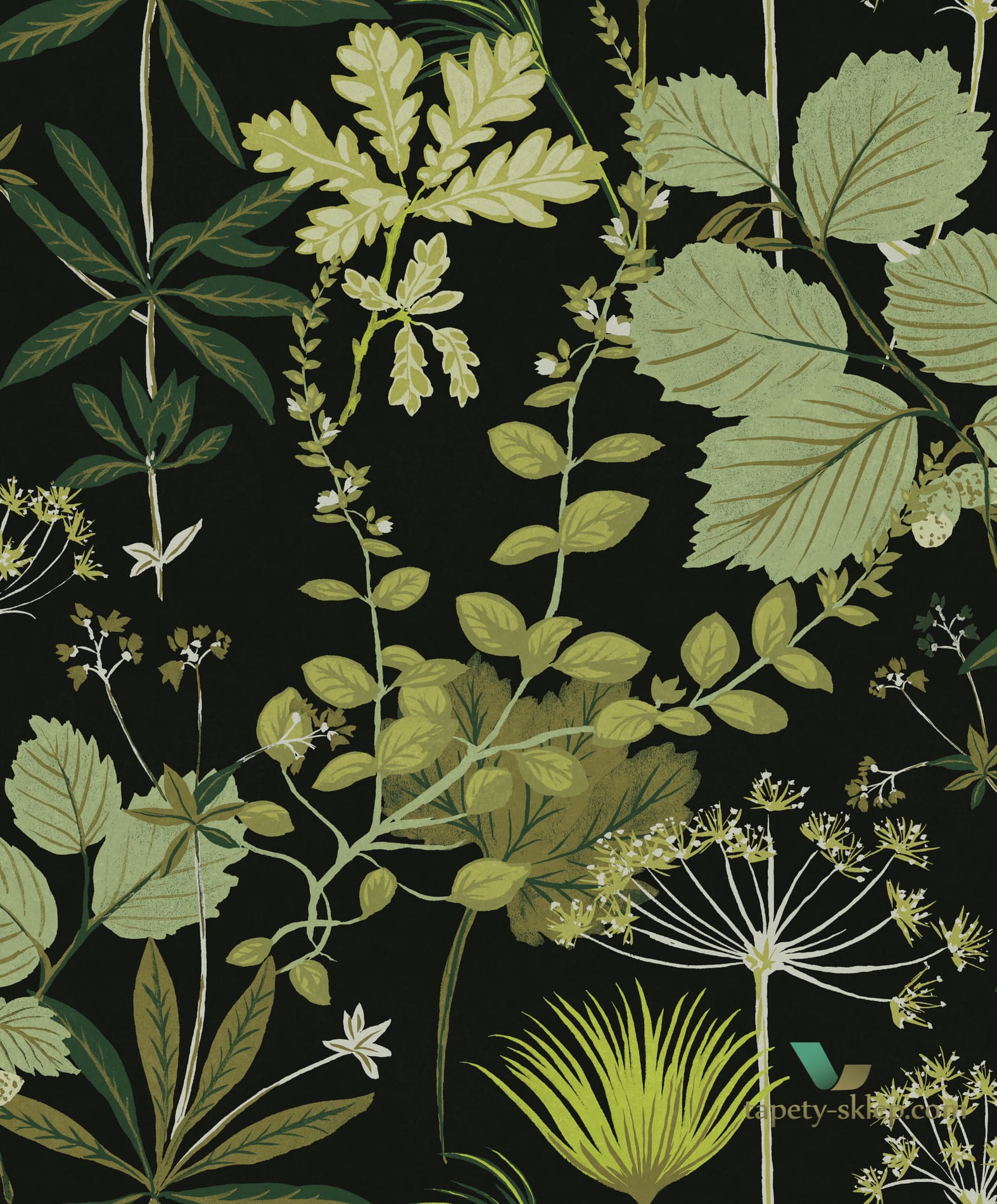 Tapeta botaniczna OLI002 Herbario Khroma Olivia
