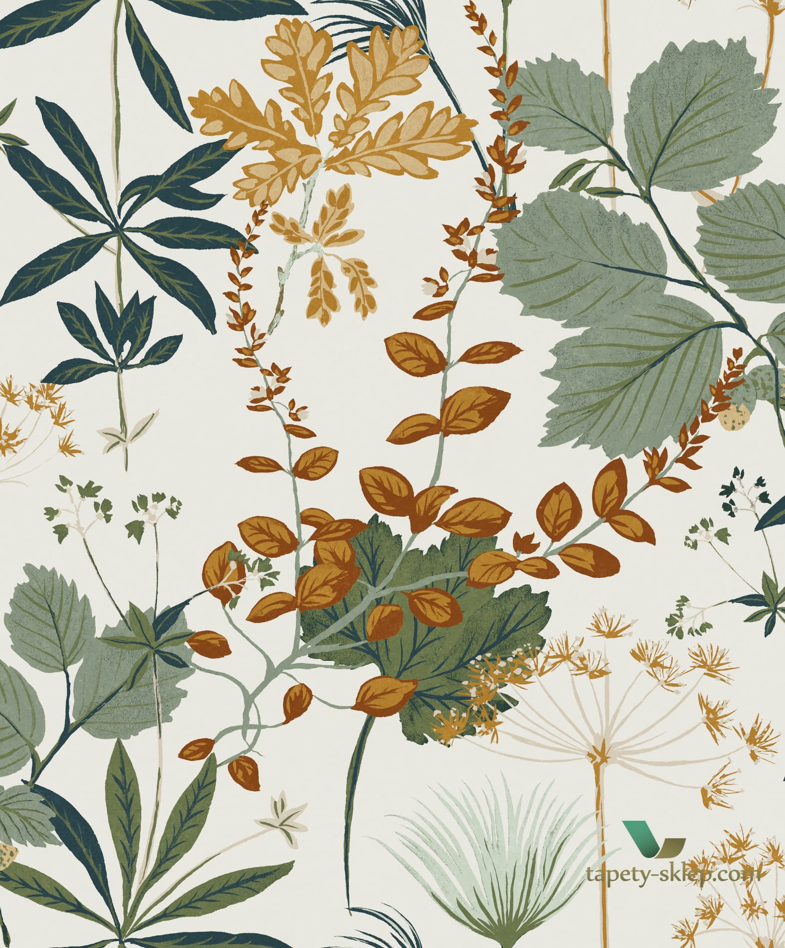 Tapeta botaniczna OLI003 Herbario Khroma Olivia