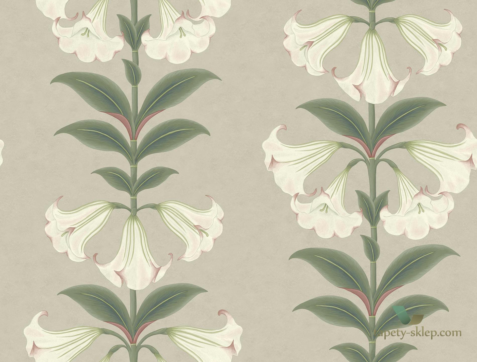Tapeta Kwiaty Cole&Son Angel's Trumpet 117/3007 Sevilla