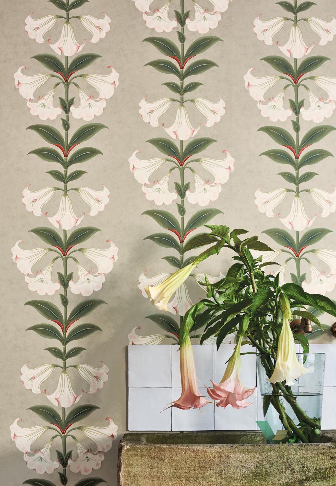 Tapeta Kwiaty Cole&Son Angel's Trumpet 117/3009 Sevilla