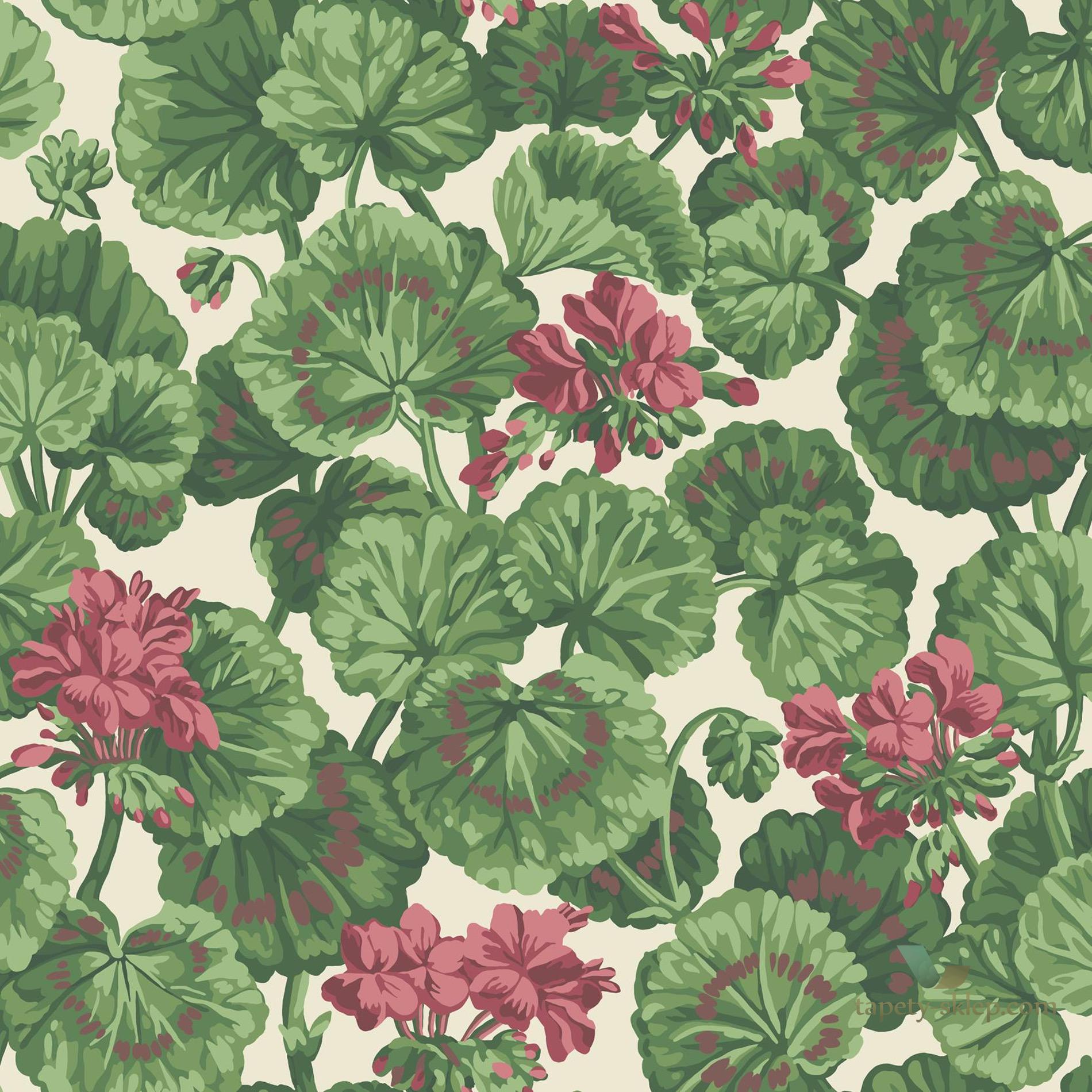 Tapeta Kwiaty Pelargonii Cole&Son Geranium 117/11034 Sevilla