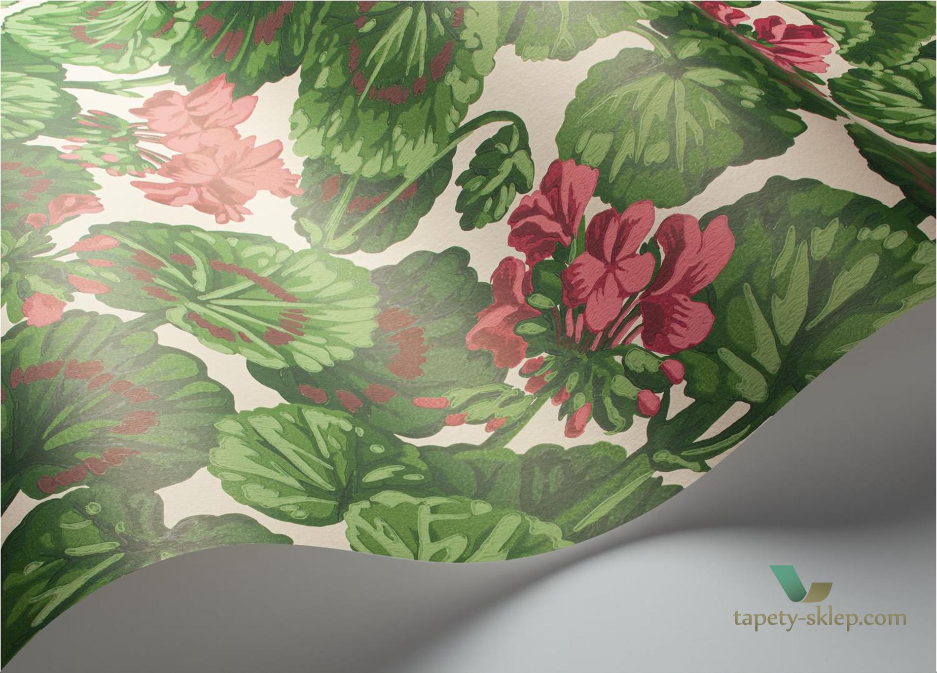 Tapeta Kwiaty Pelargonii Cole&Son Geranium 117/11034 Sevilla