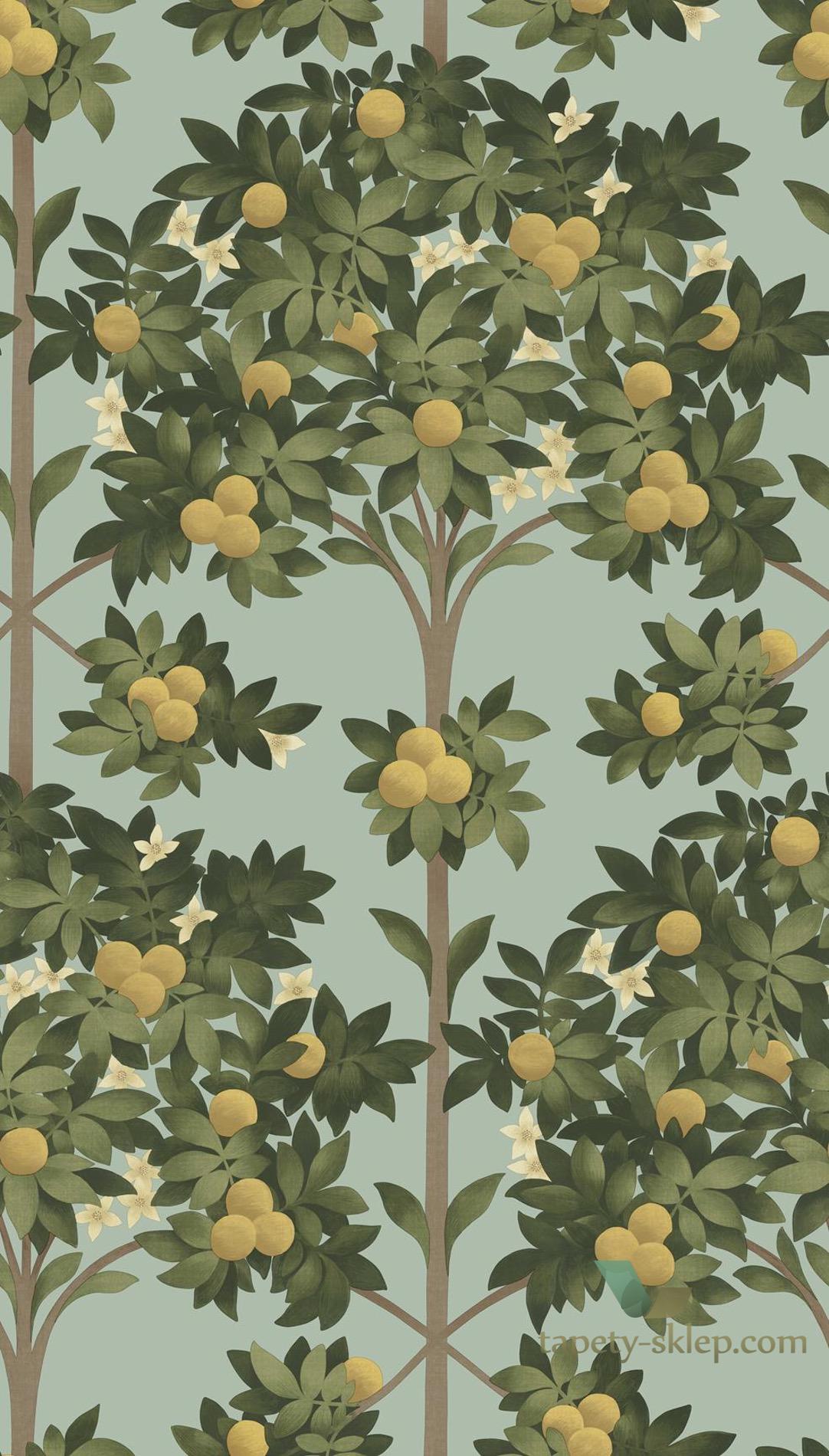 Tapeta Drzewa Owoce Cole&Son Orange Blossom 117/1002 Sevilla