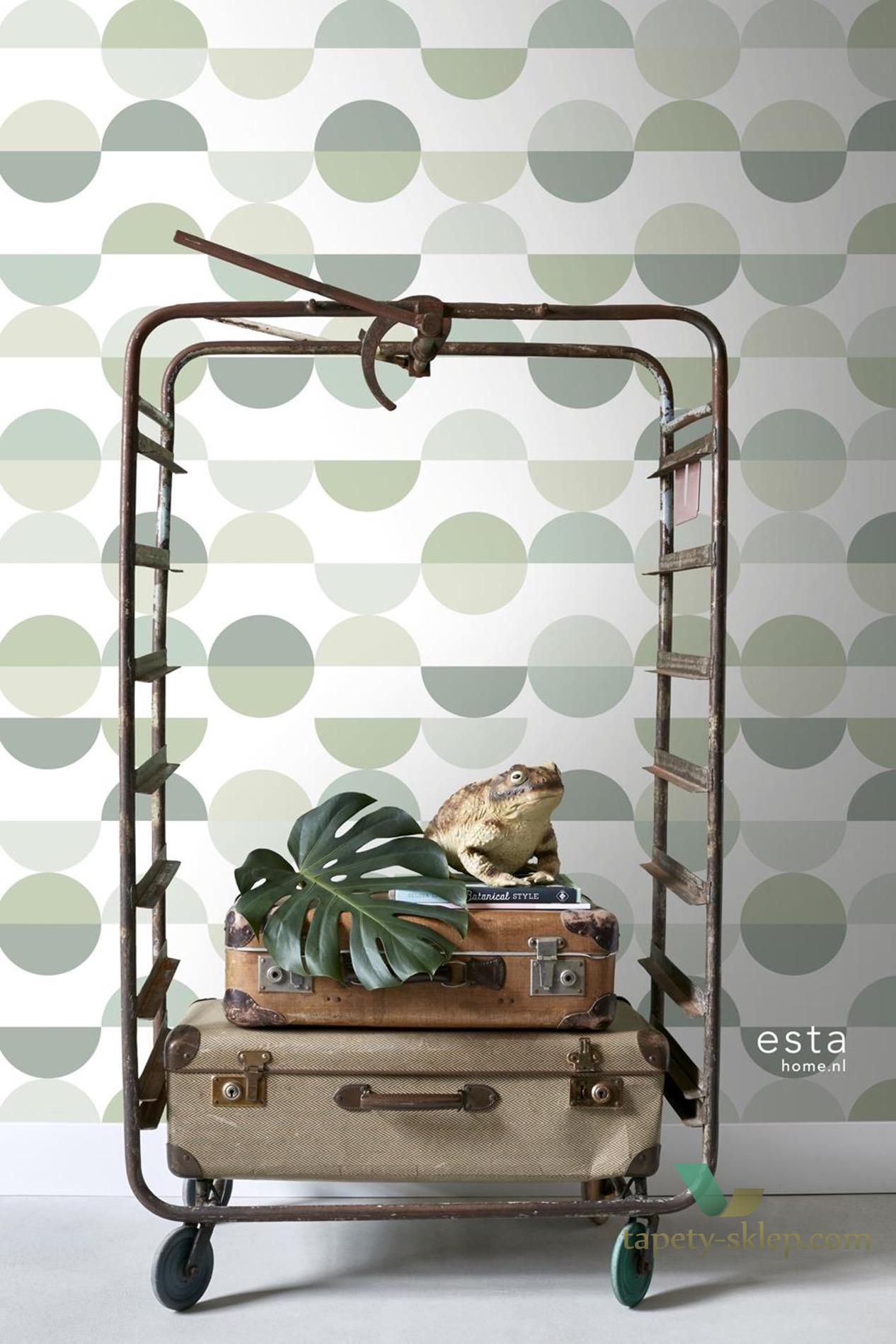 Mural Esta 158904 Scandi Cool