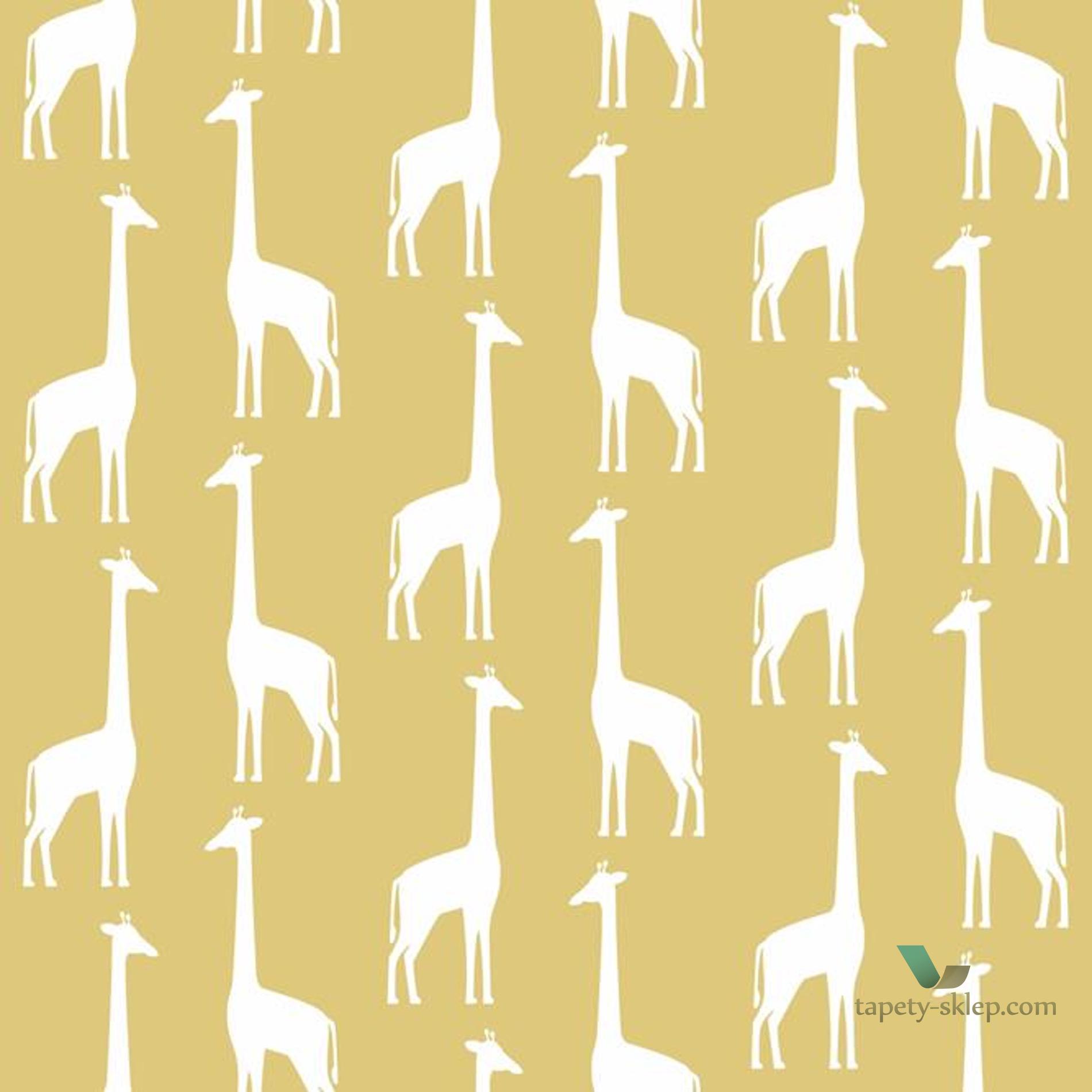 Tapeta Esta 139059 Let's play