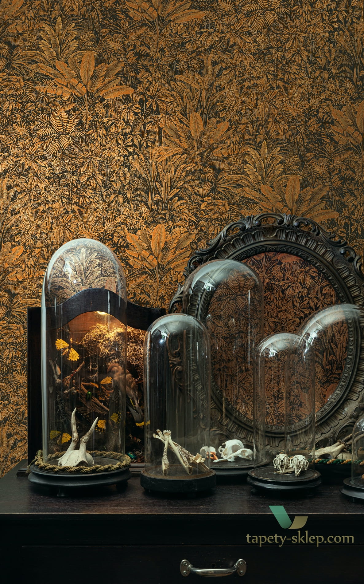 Tapeta egzotyczna Khroma CAB304 Sauvage Cabinet of Curiosities