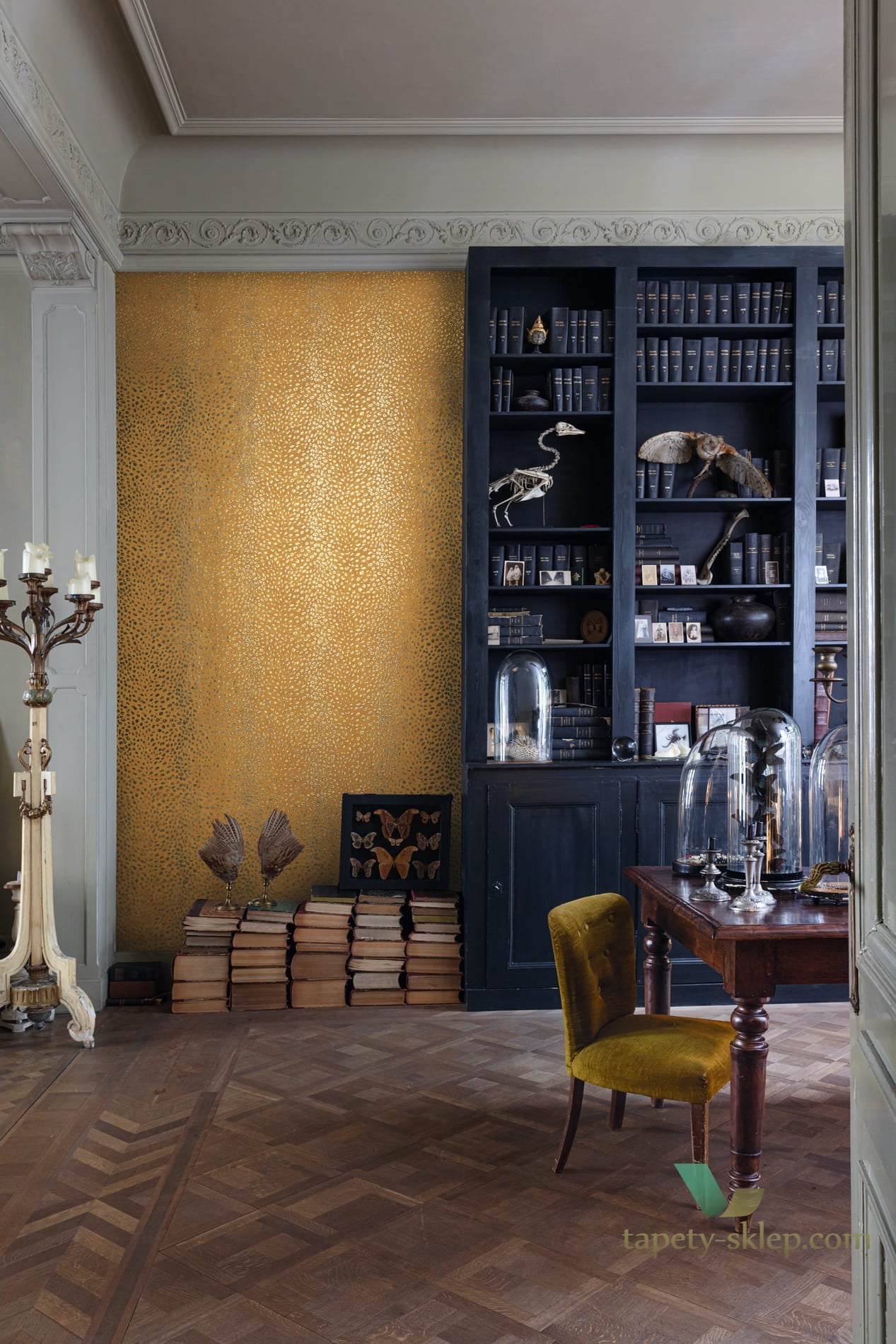 Tapeta Khroma CAB802 Tender Cabinet of Curiosities