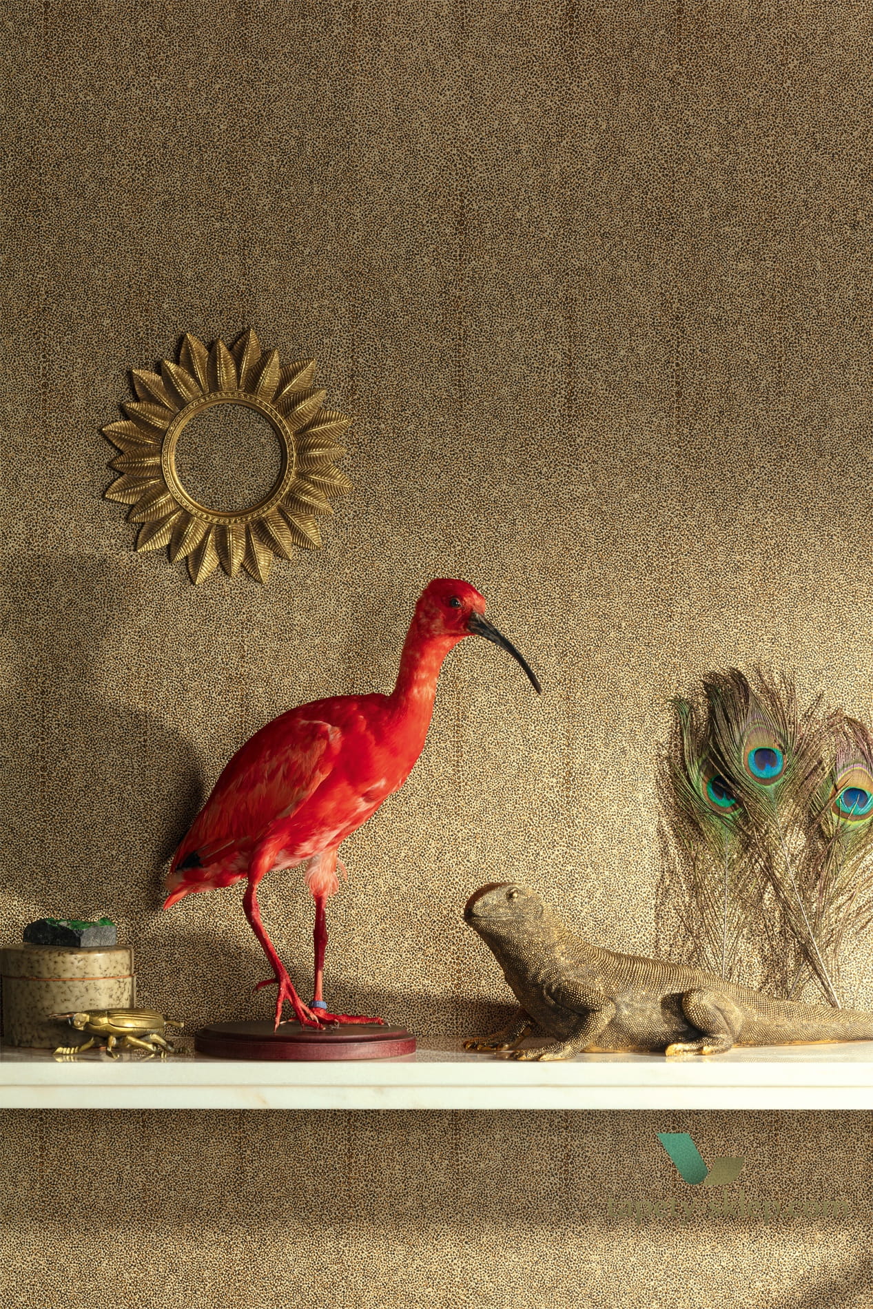 Tapeta Khroma CAB901 Iguana Cabinet of Curiosities