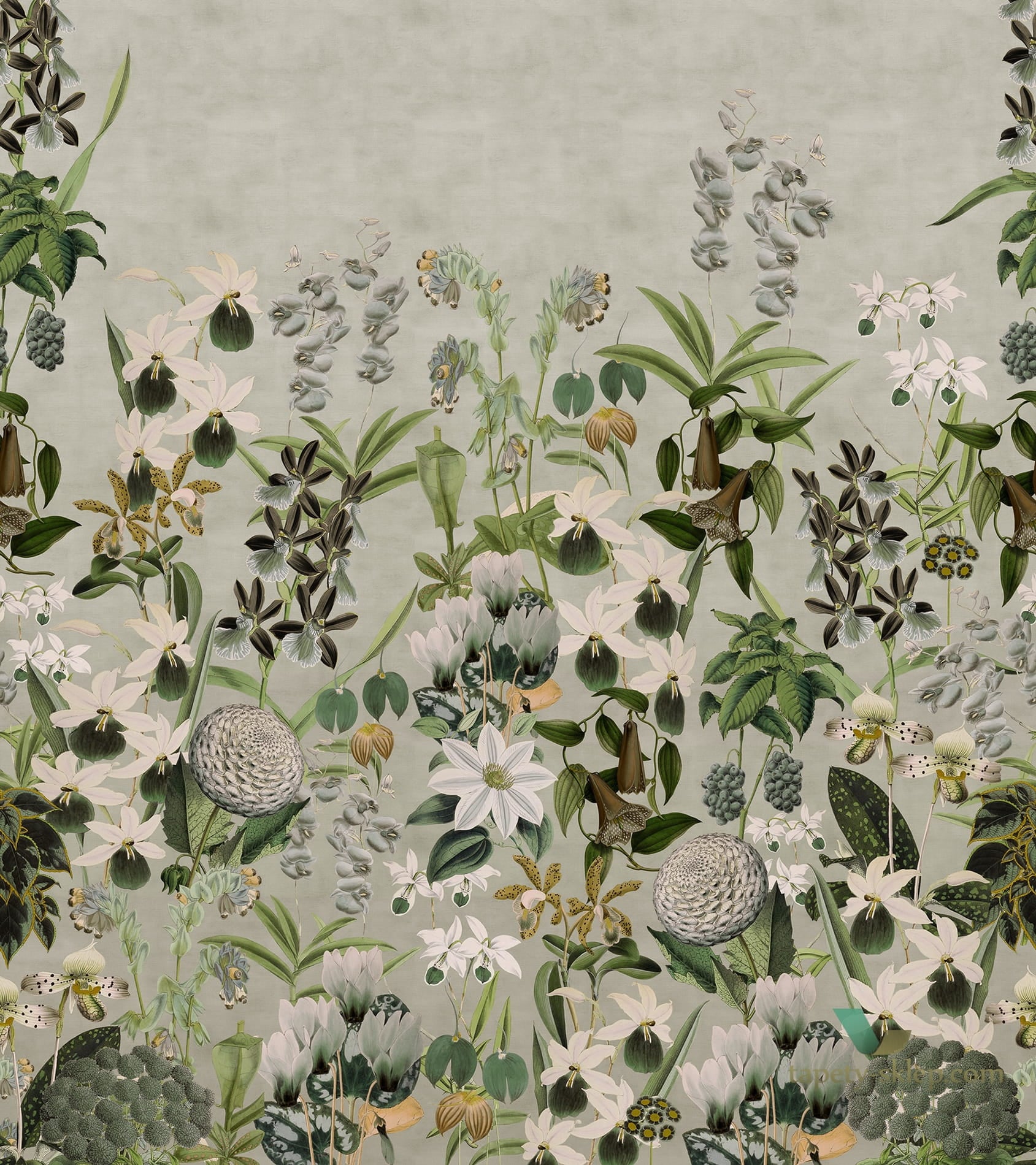 Tapeta Rebel Walls R17162 Alice's Garden Dusk Moss & Coral