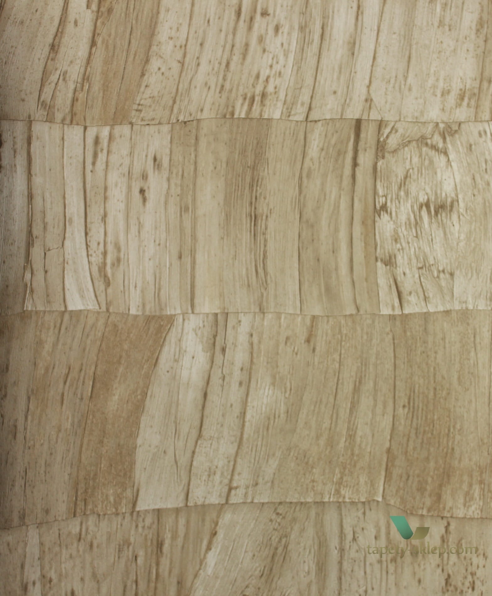 Tapeta Arte Capas 34300 Selva