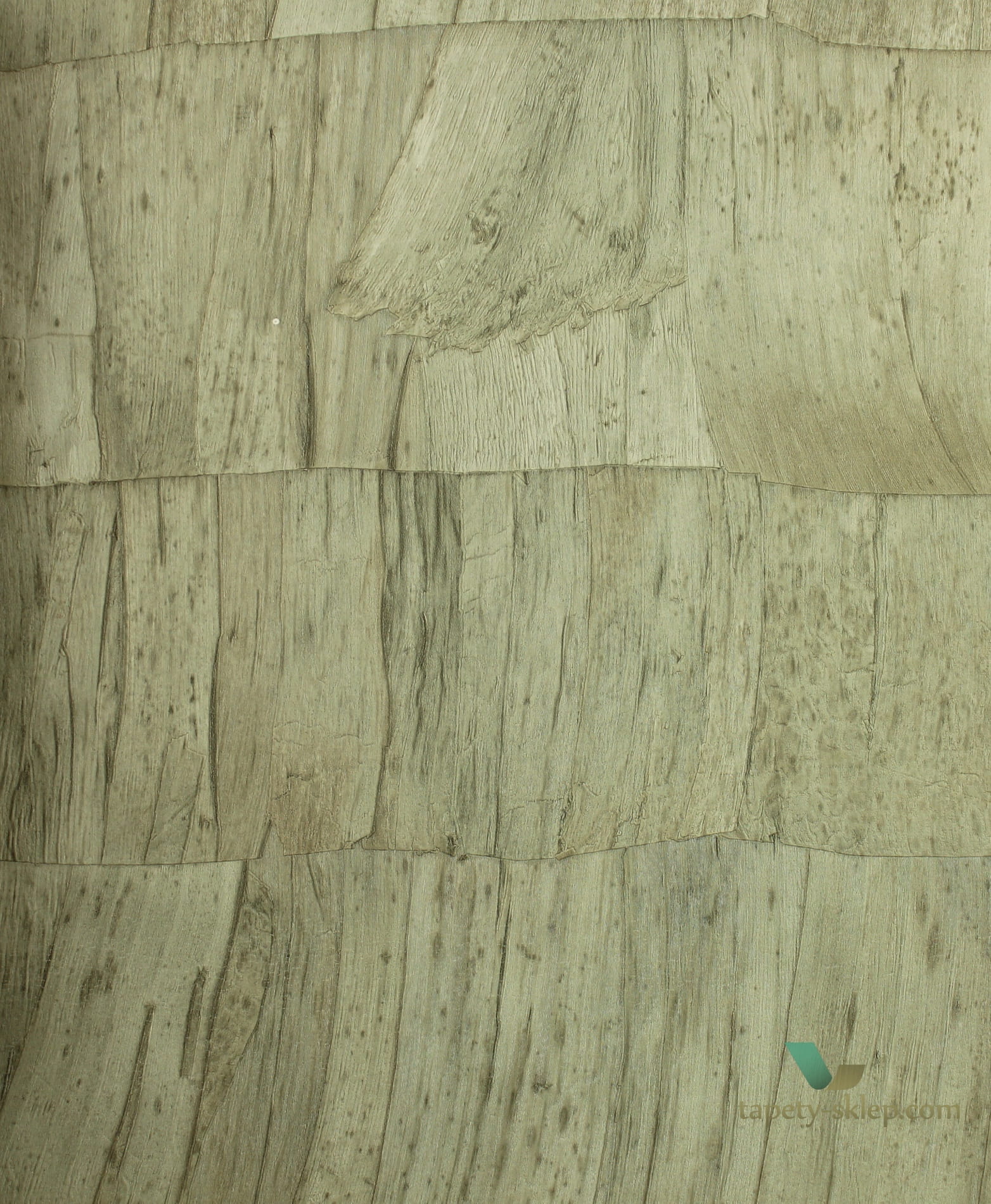 Tapeta Arte Capas 34304 Selva
