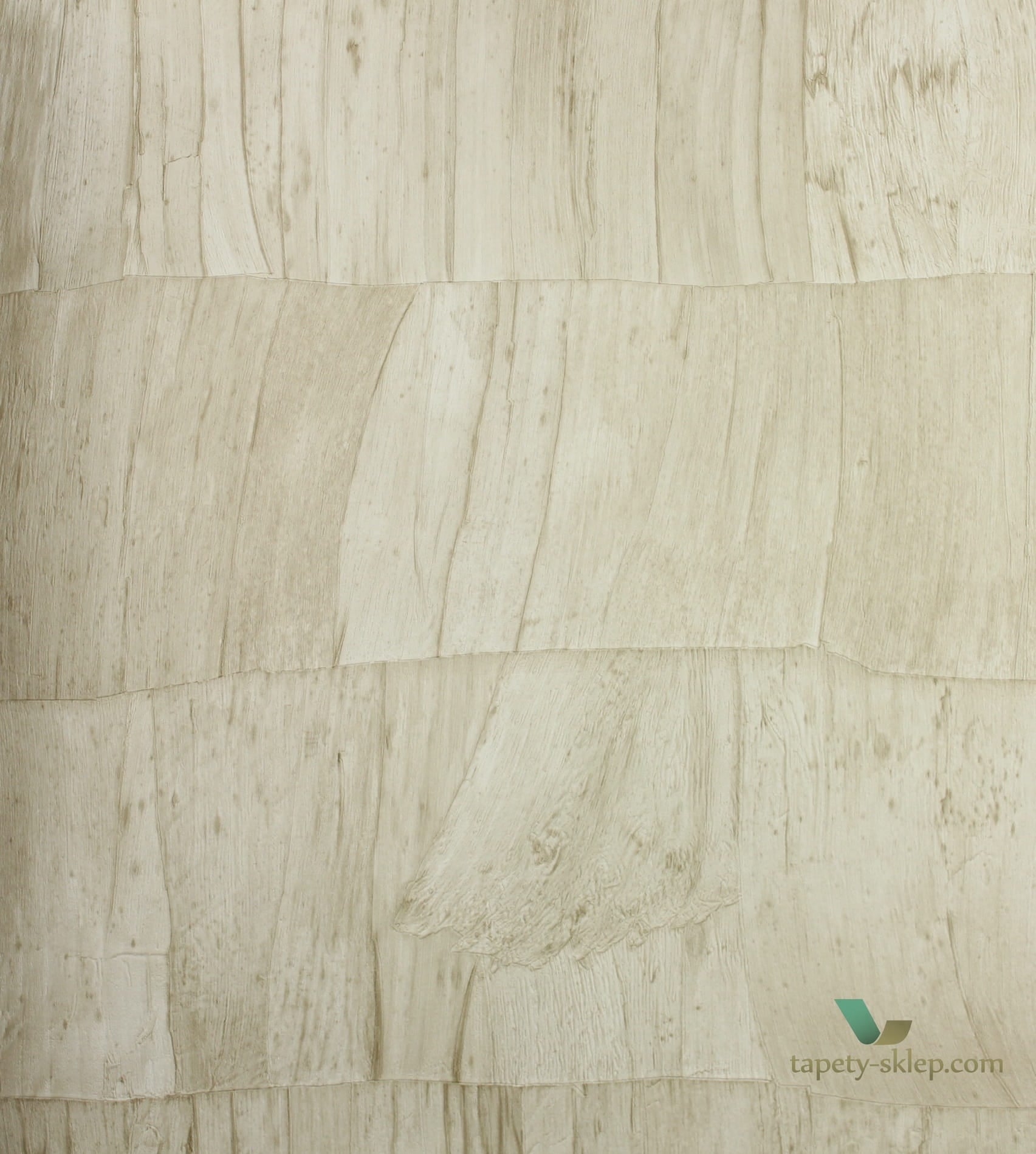 Tapeta Arte Capas 34306 Selva