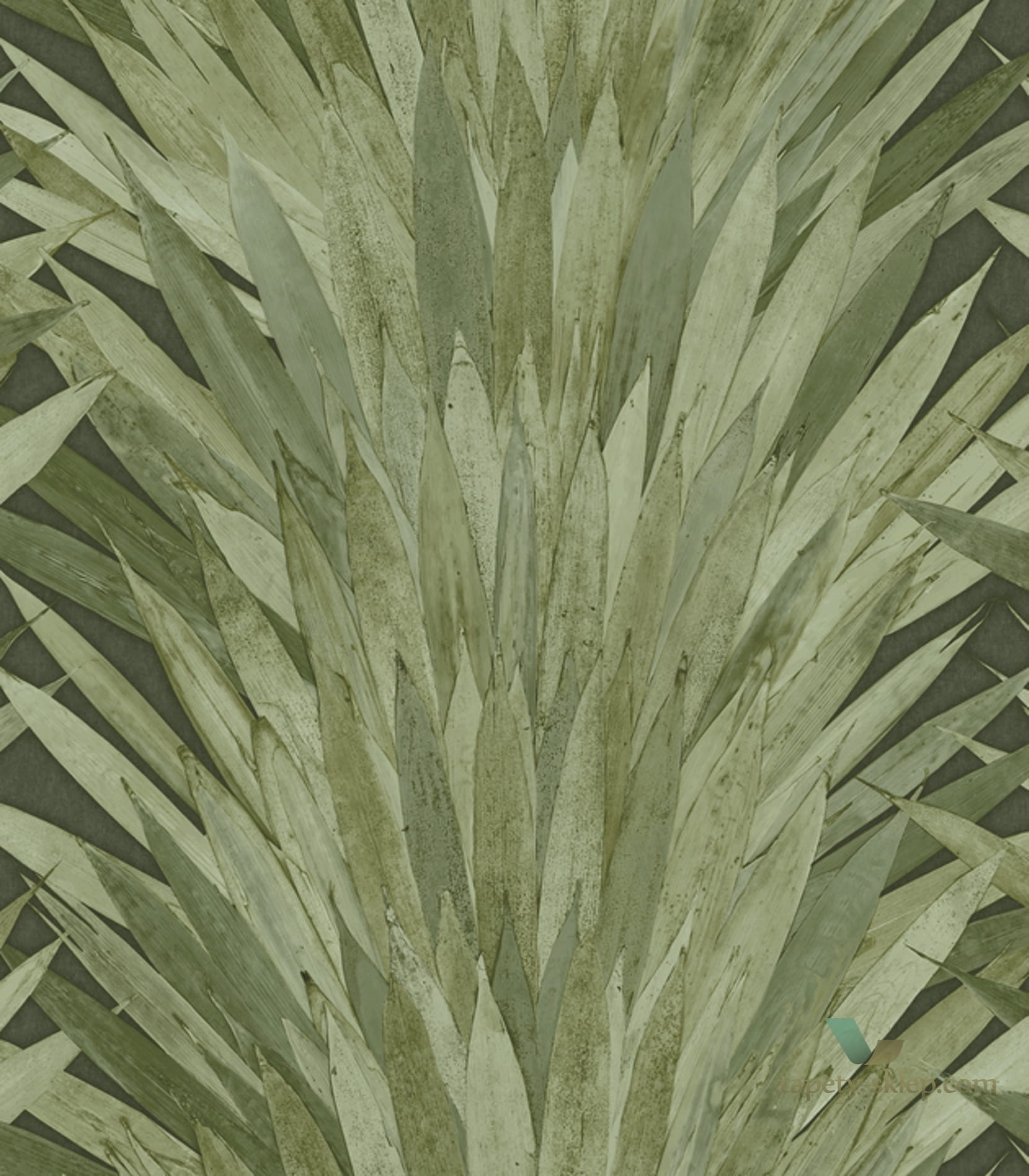 Tapeta tropikalne Liście Arte Abanico 34001 Selva
