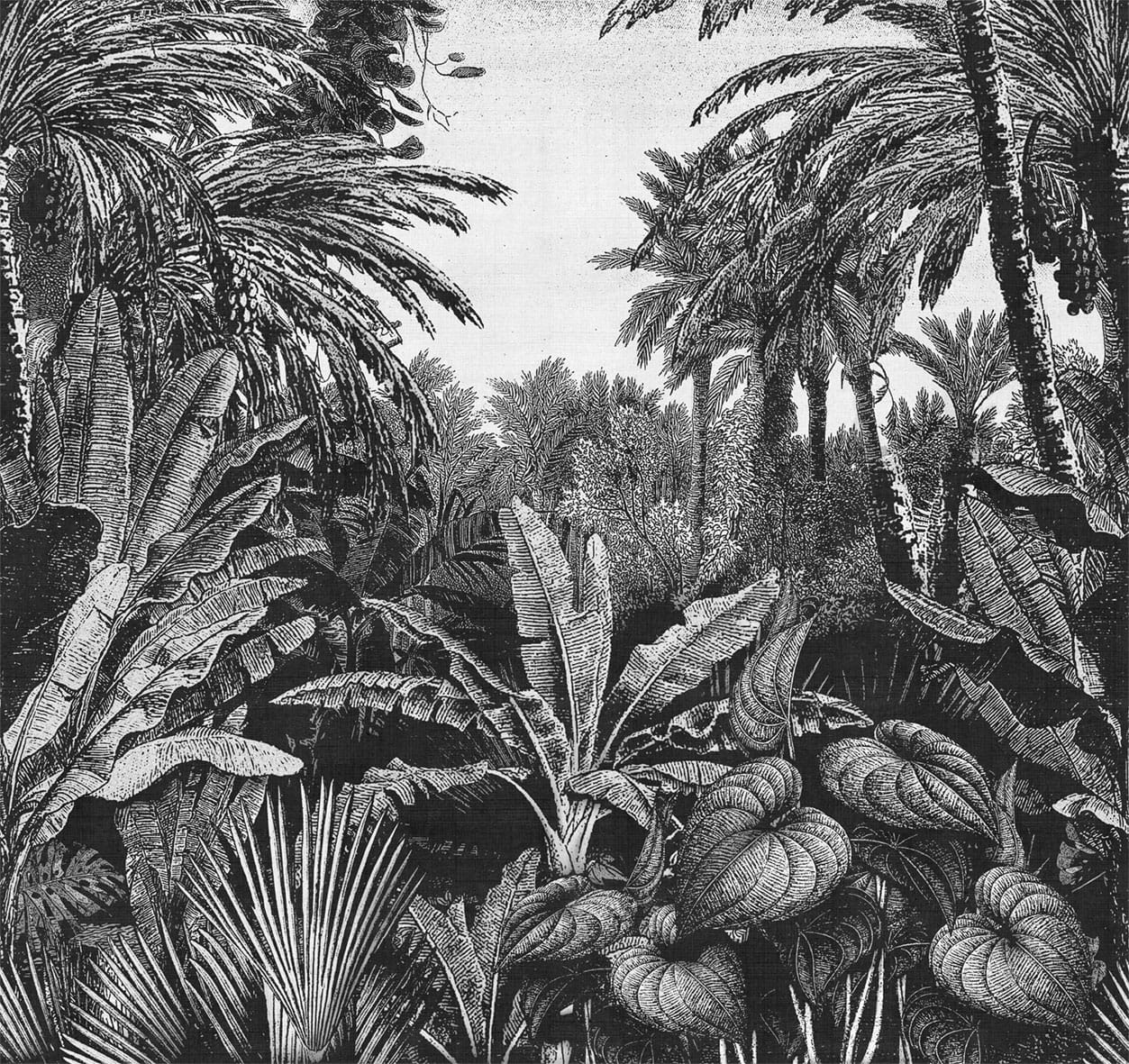 Tapeta London Art 17016-04 Tropical Mornings