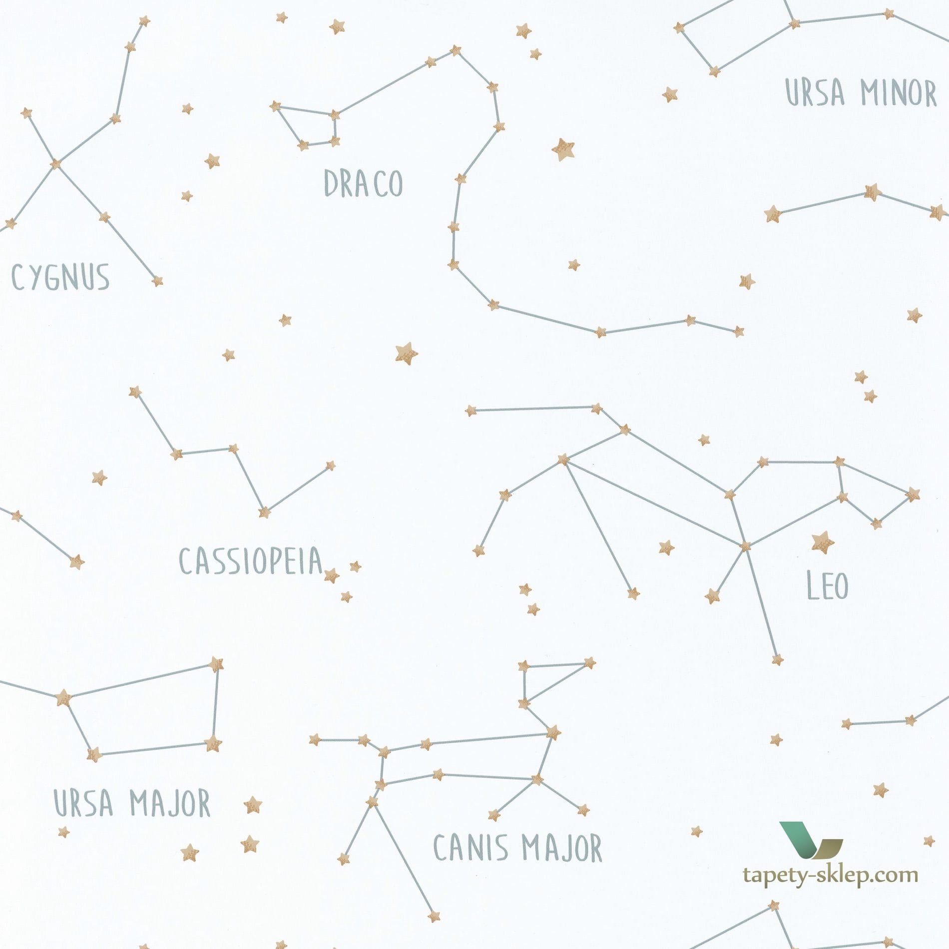 Tapeta Caselio Constellations OUP101917125 Our Planet