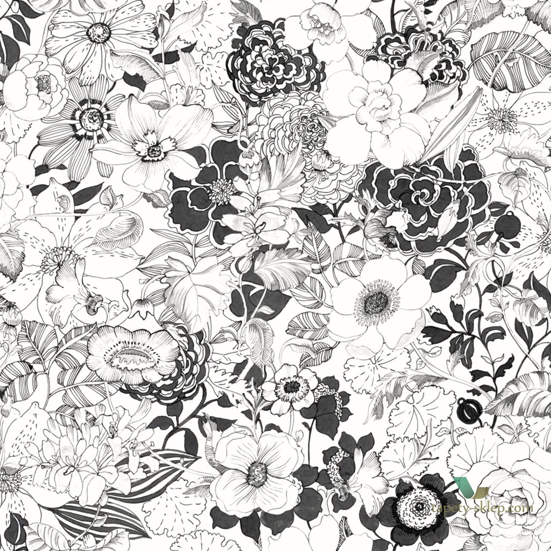 Tapeta Esta 138503 Black and White