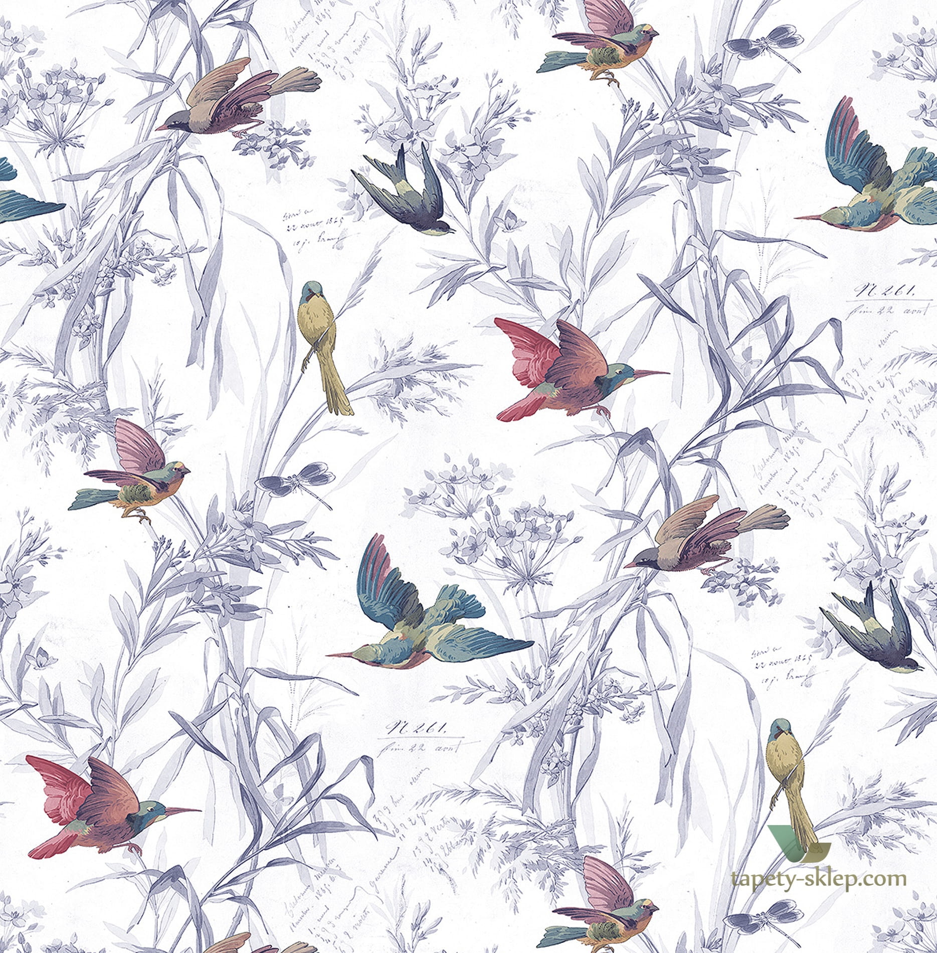 Tapeta KT Exclusive FJ40911 Birds of Paradise Sanctuary