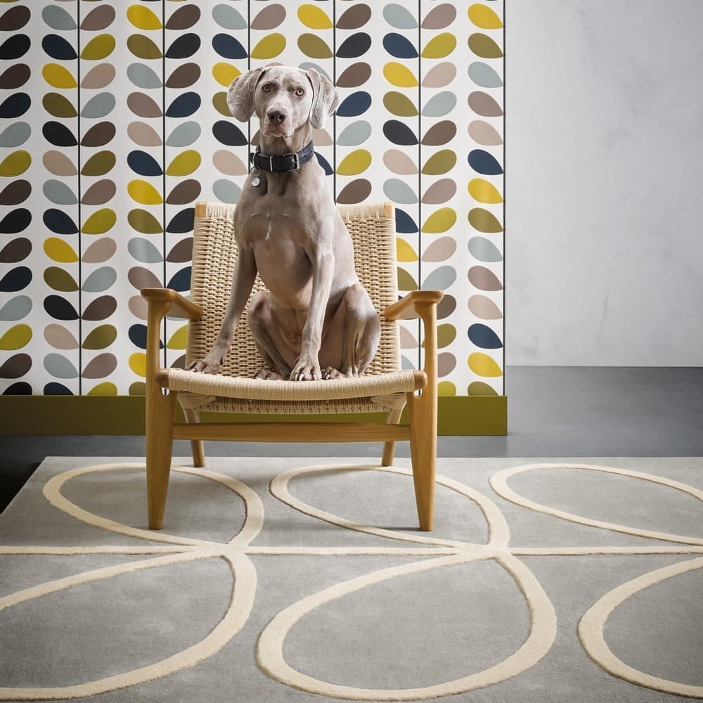 Szary Dywan Orla Kiely w Liście - GIANT LINEAR STEM 059404