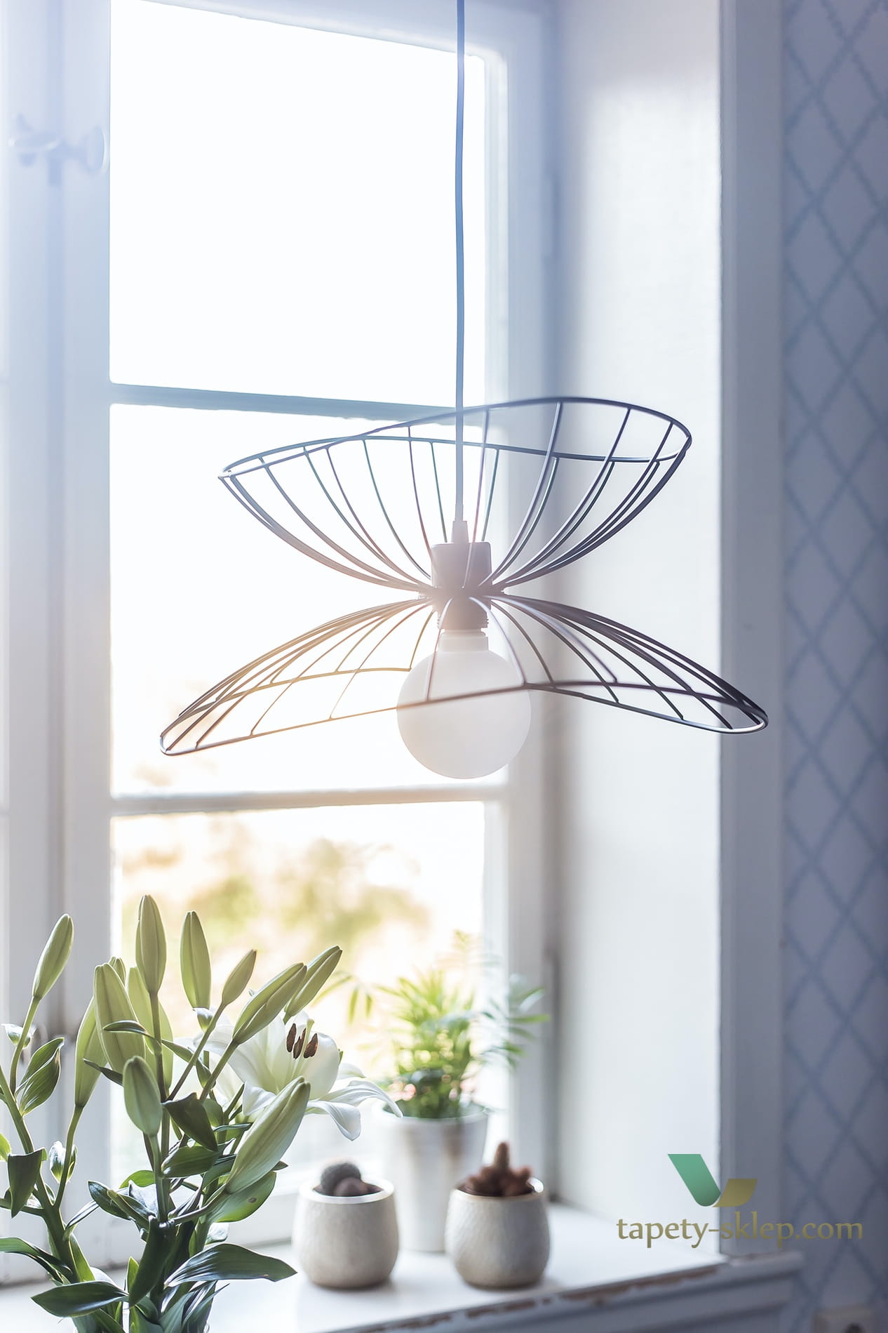Lampa wisząca Ray 45 Black 257911 Globen
