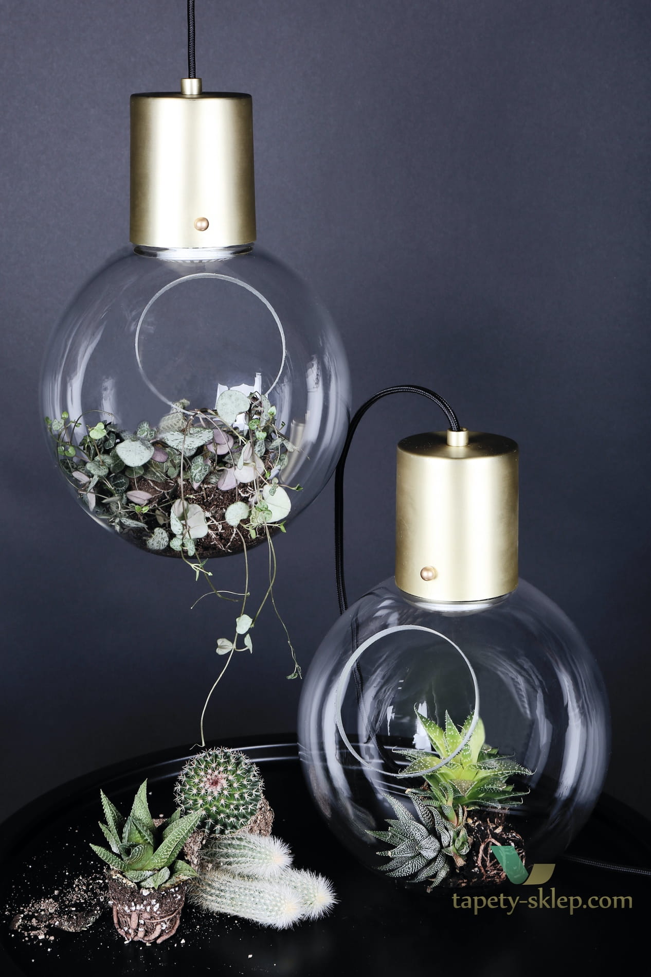 Lampa wisząca/Lampa stołowa Mini Hole Clear / Brushed Brass 641055 Globen