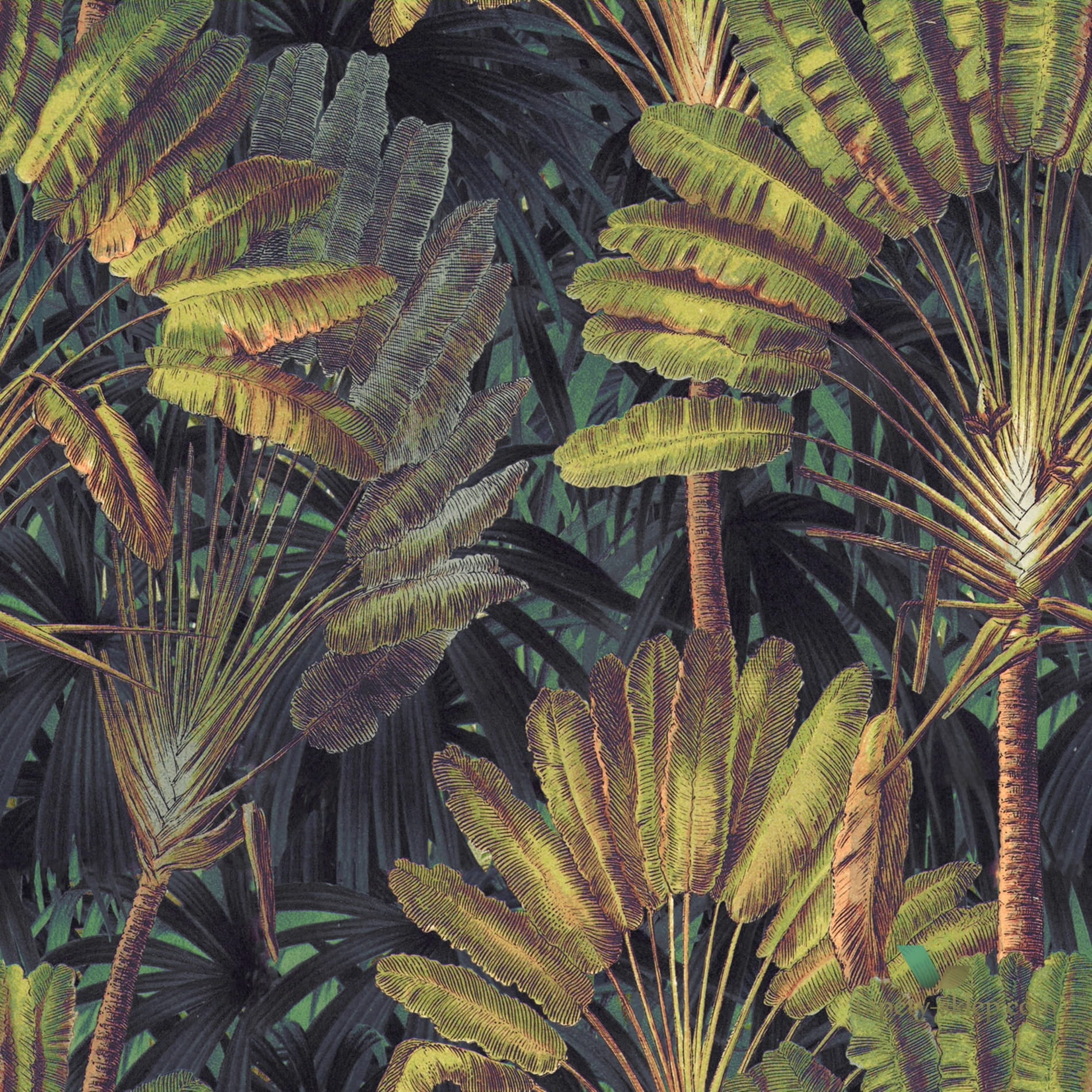 Tapeta Mind the Gap WP20526 Traveller's Palm Sunset