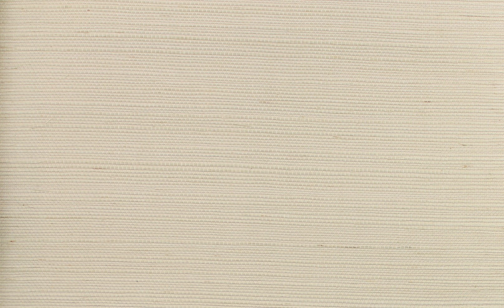 Tapeta York Wallcoverings RI5182 Palette Rifle Paper Co.