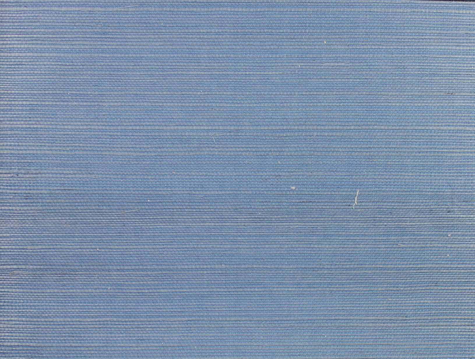 Tapeta York Wallcoverings RI5184 Palette Rifle Paper Co.