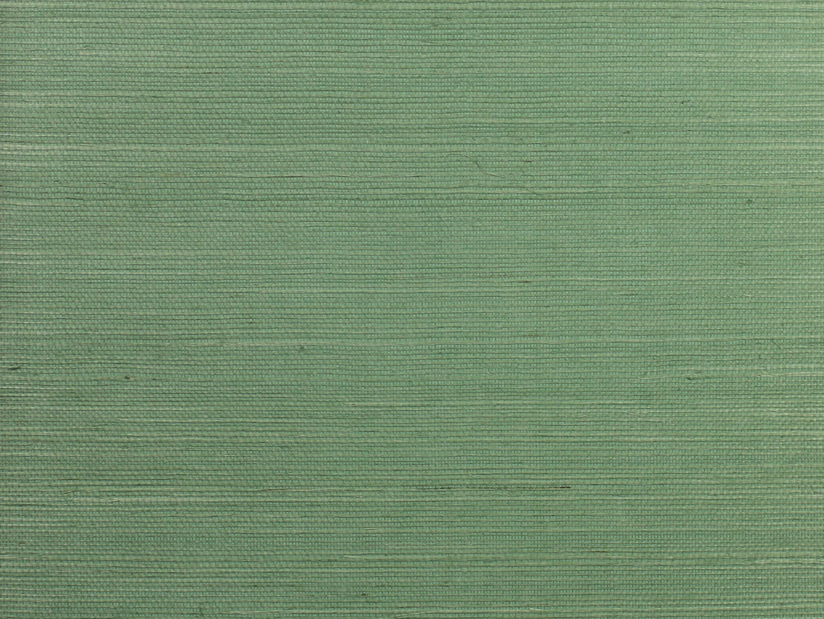 Tapeta York Wallcoverings RI5186 Palette Rifle Paper Co.