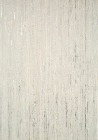 Tapeta Thibaut T3988 Nira on Foil Surface Resource